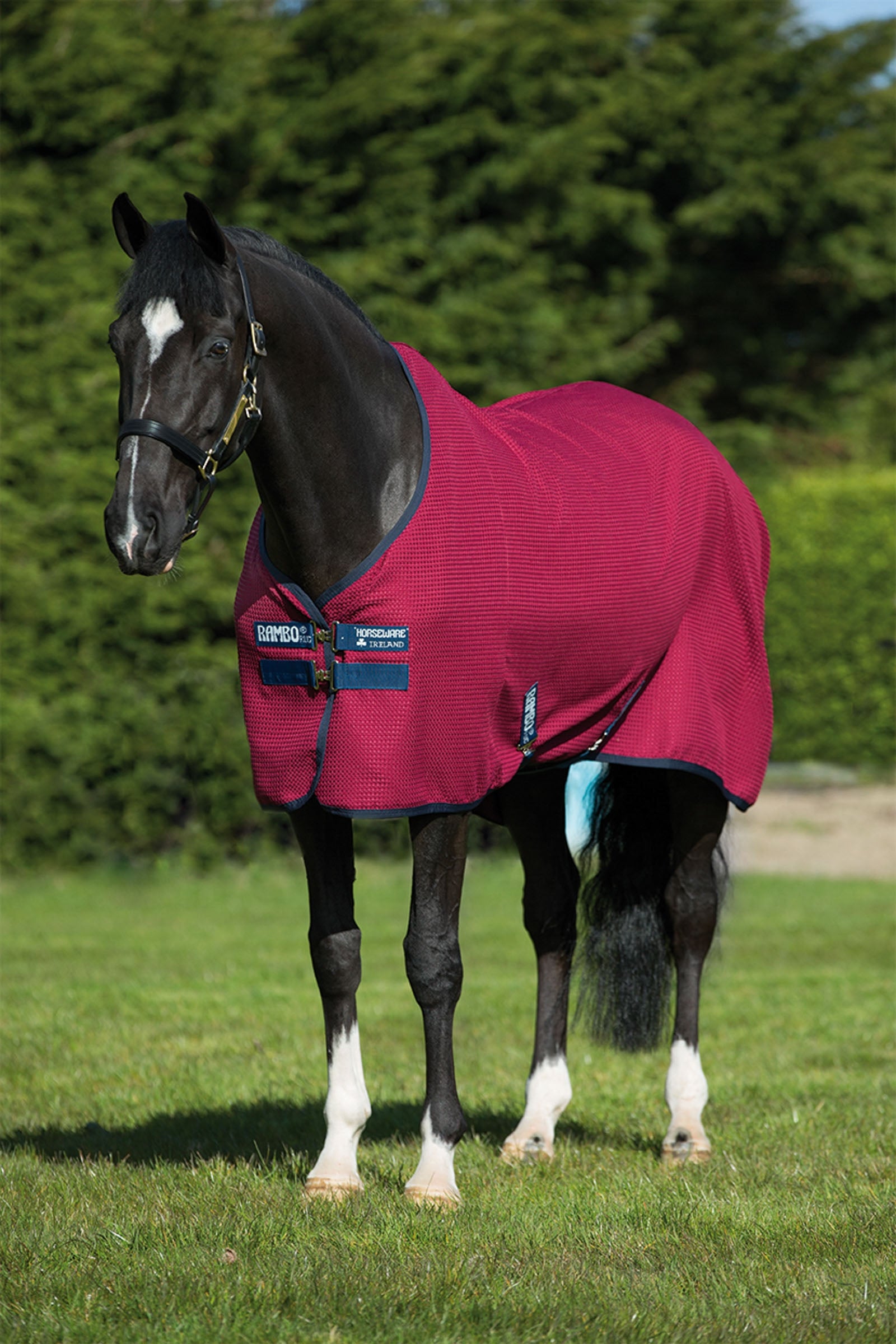 Horseware Rambo Techni Cooler vohveliloimi Loimet