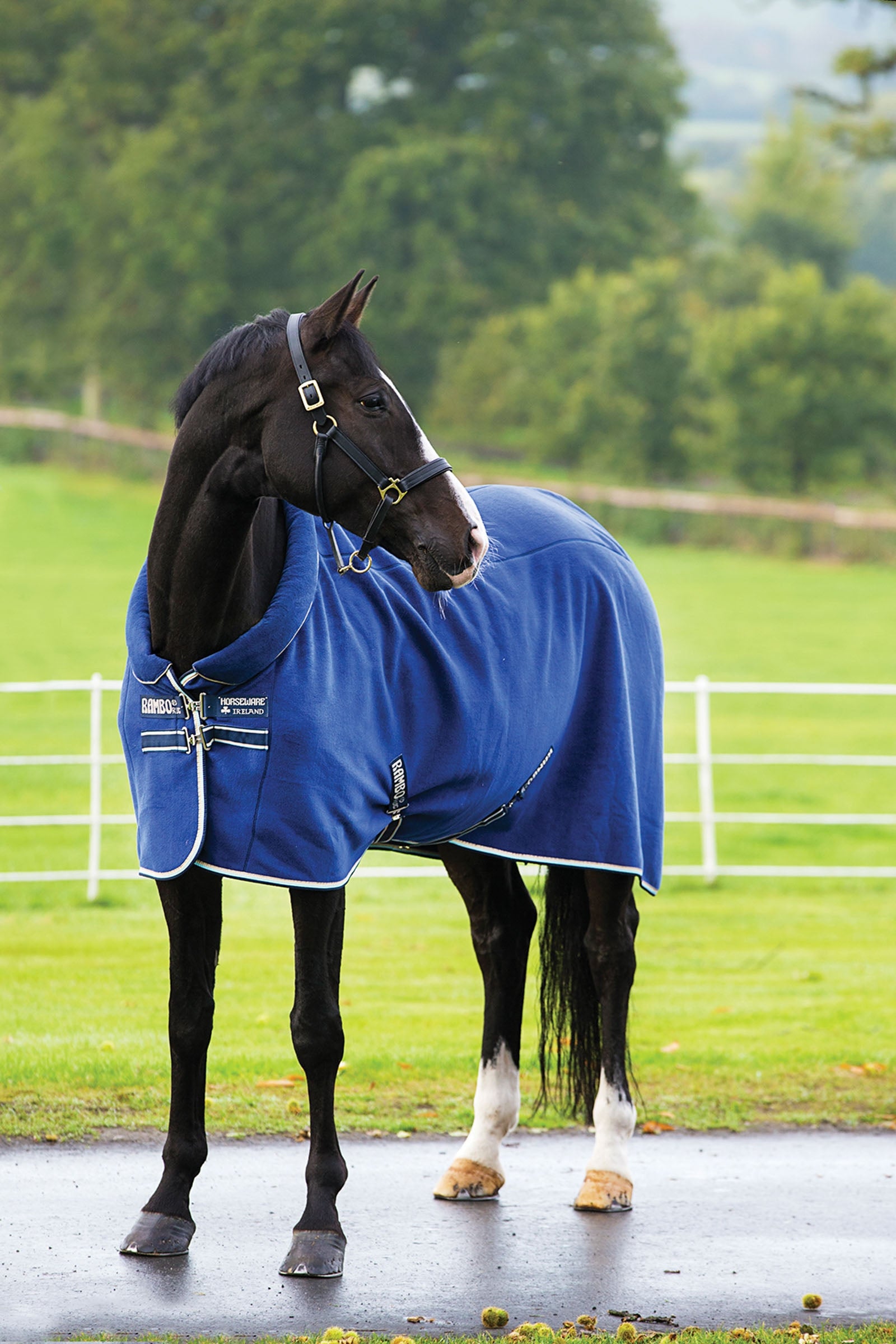 Horseware Rambo Cosy -fleeceloimi Loimet