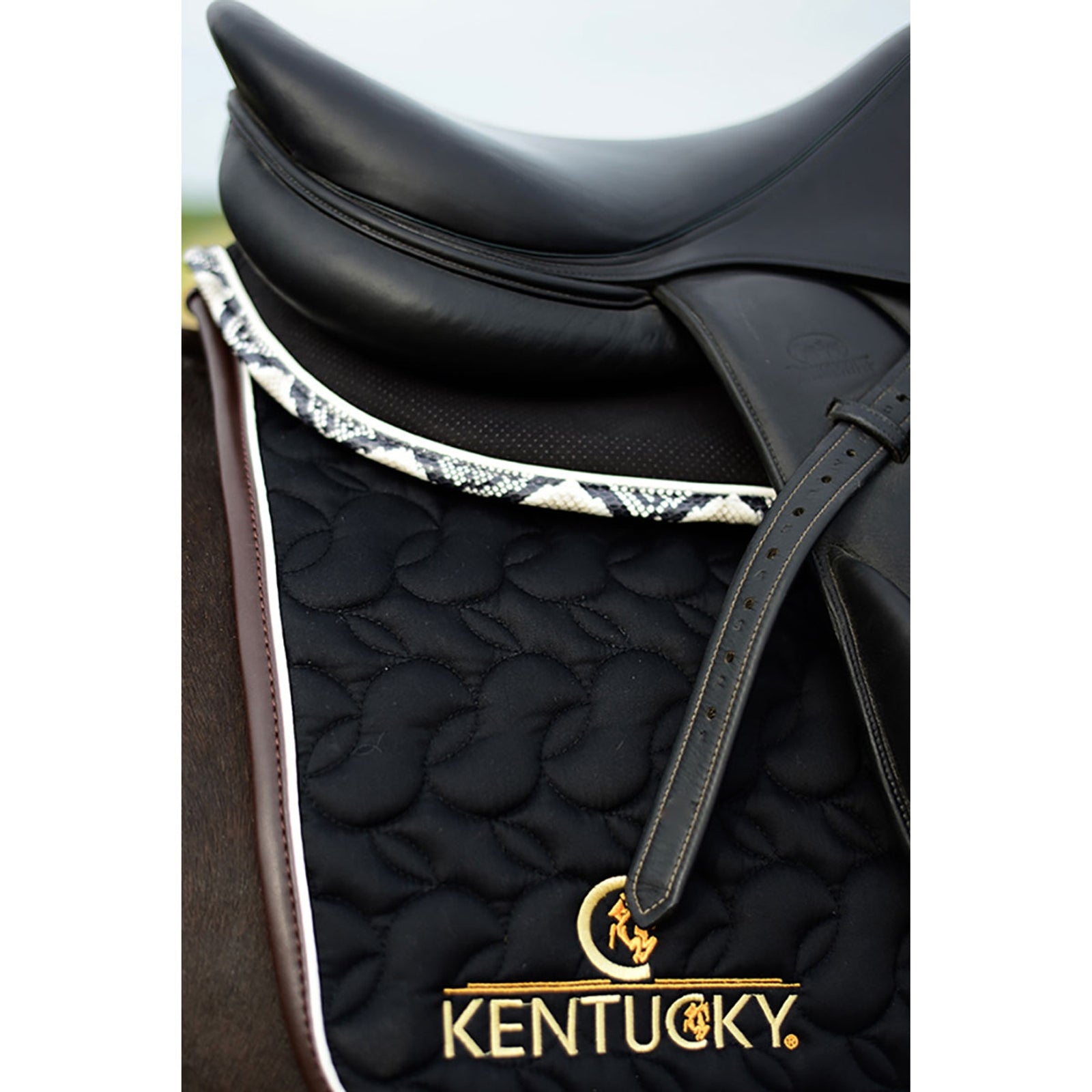 Kentucky Horsewear Saddle Pad Absorb Saddle Pads