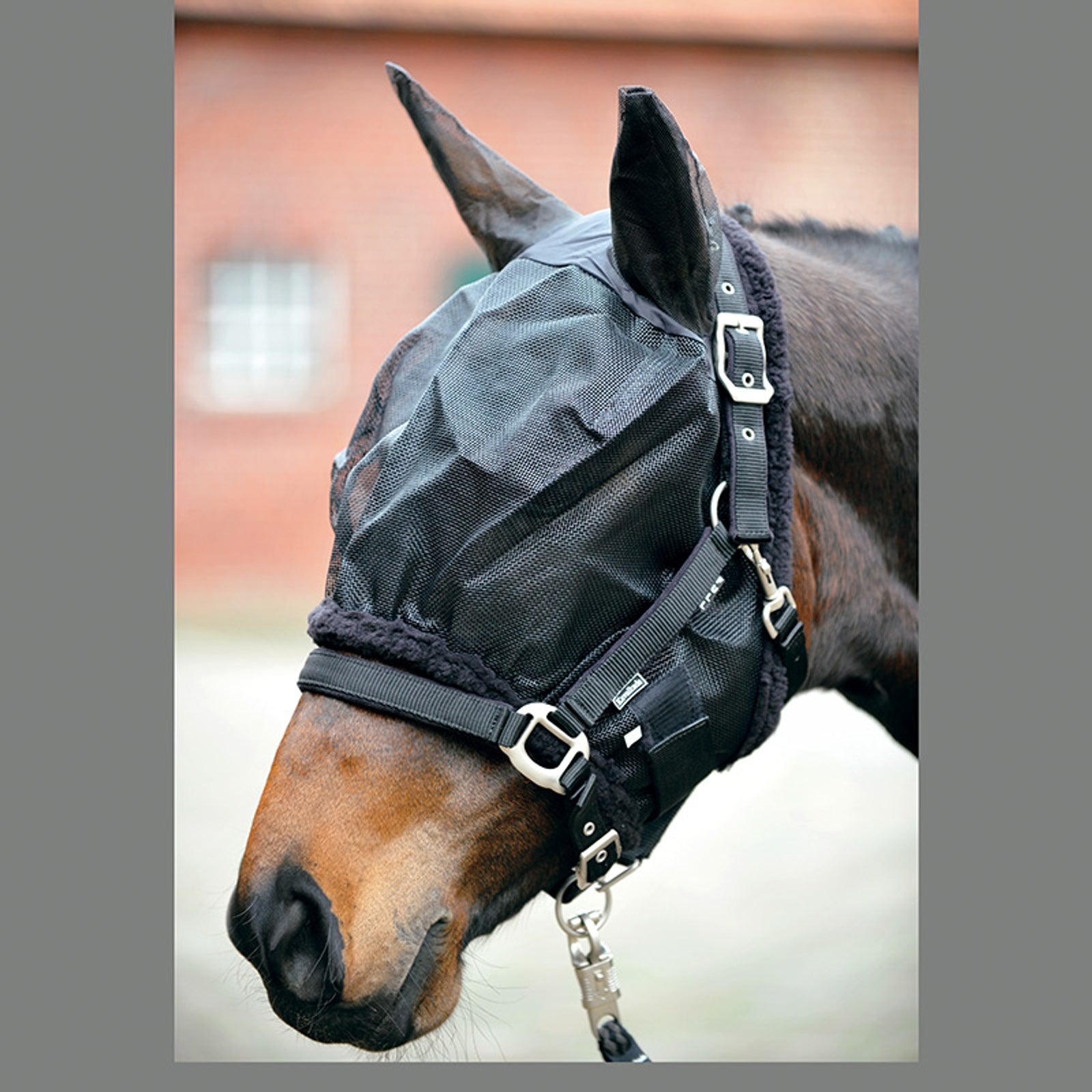Kavalkade Fly mask with ears Antifly Protection for Horses
