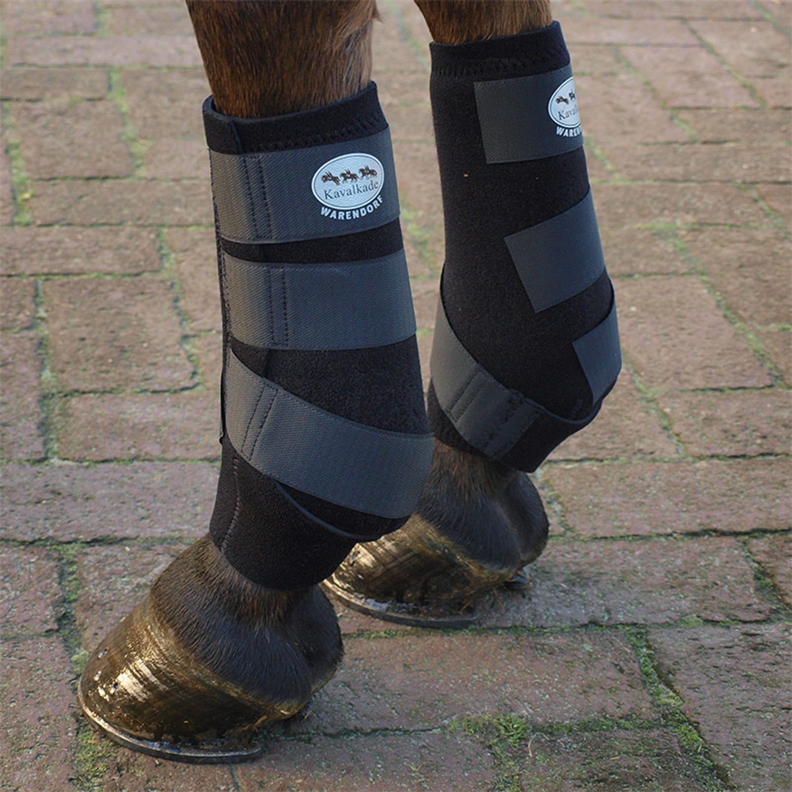 Kavalkade Neoprene suojat Leg Protection & Hoof Protection for Horses