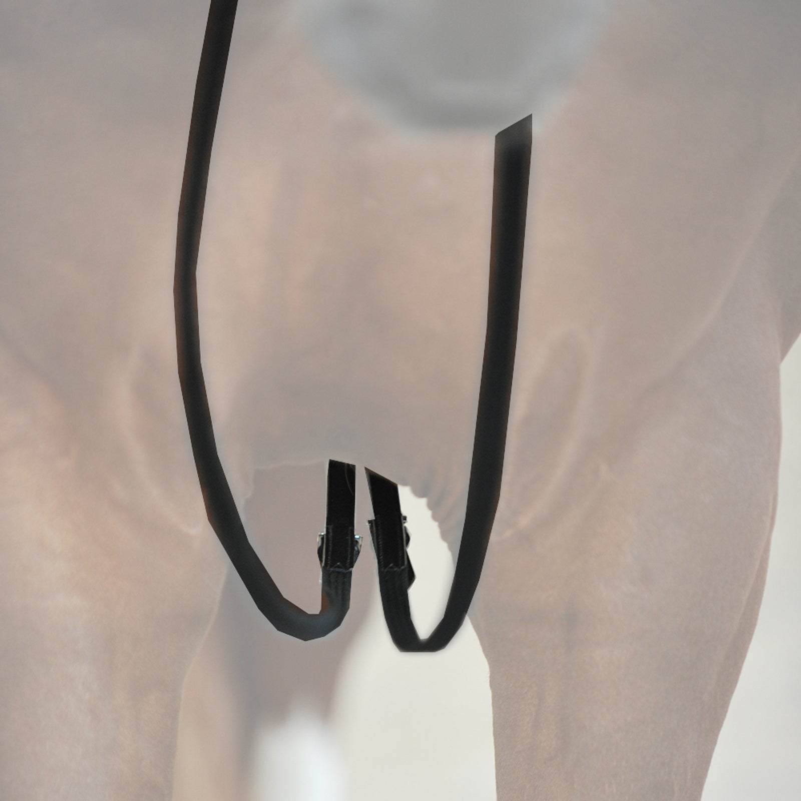 Kavalkade Webbed draw reins Bridles & Reins