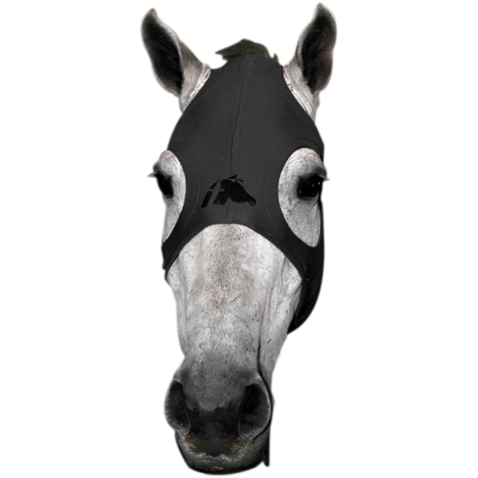 Fenwick Equestrian USA Fenwick Liquid Titanium Mask -maski Ravitarvikkeet