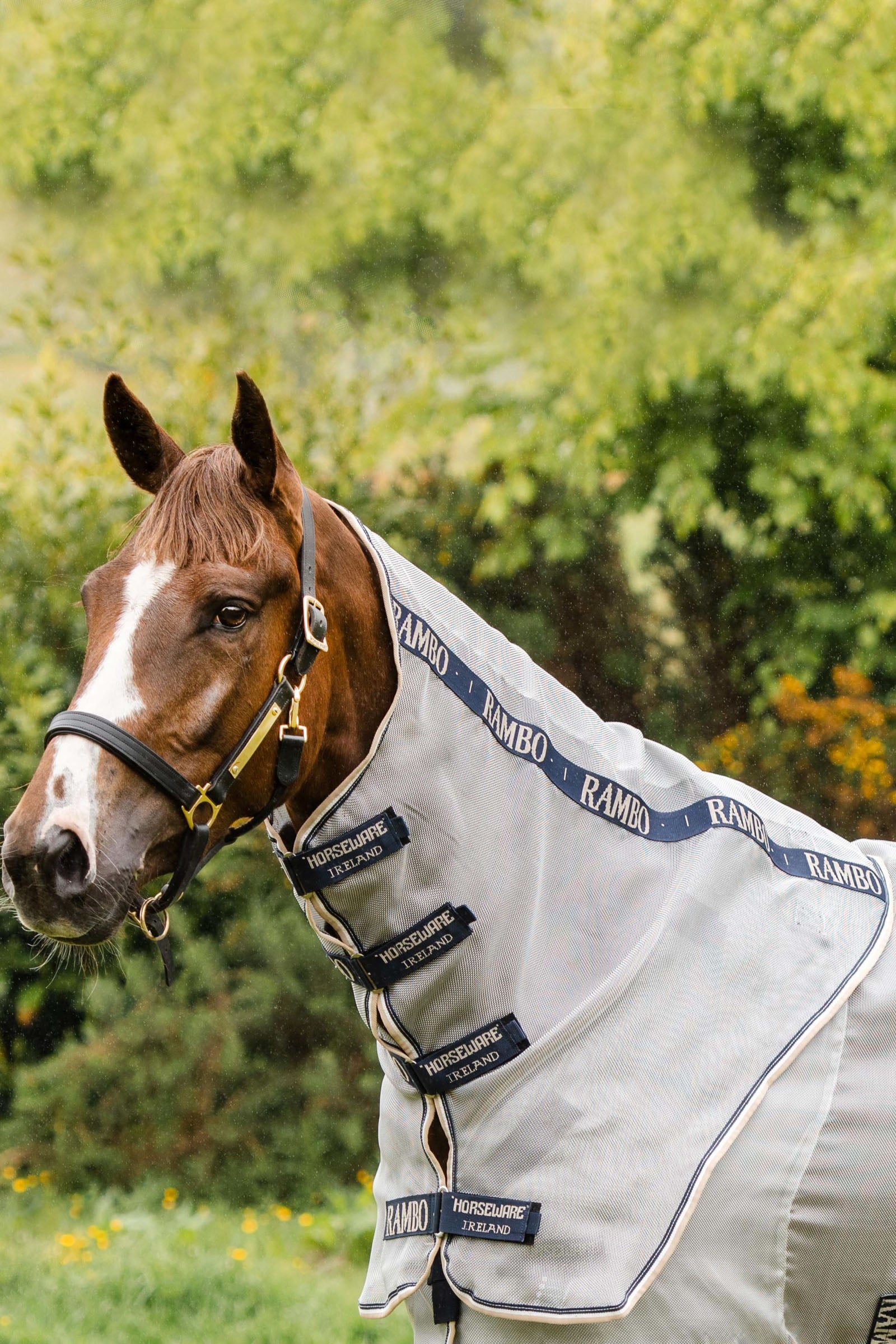 Horseware Rambo Protector Neck Cover Horse Rugs