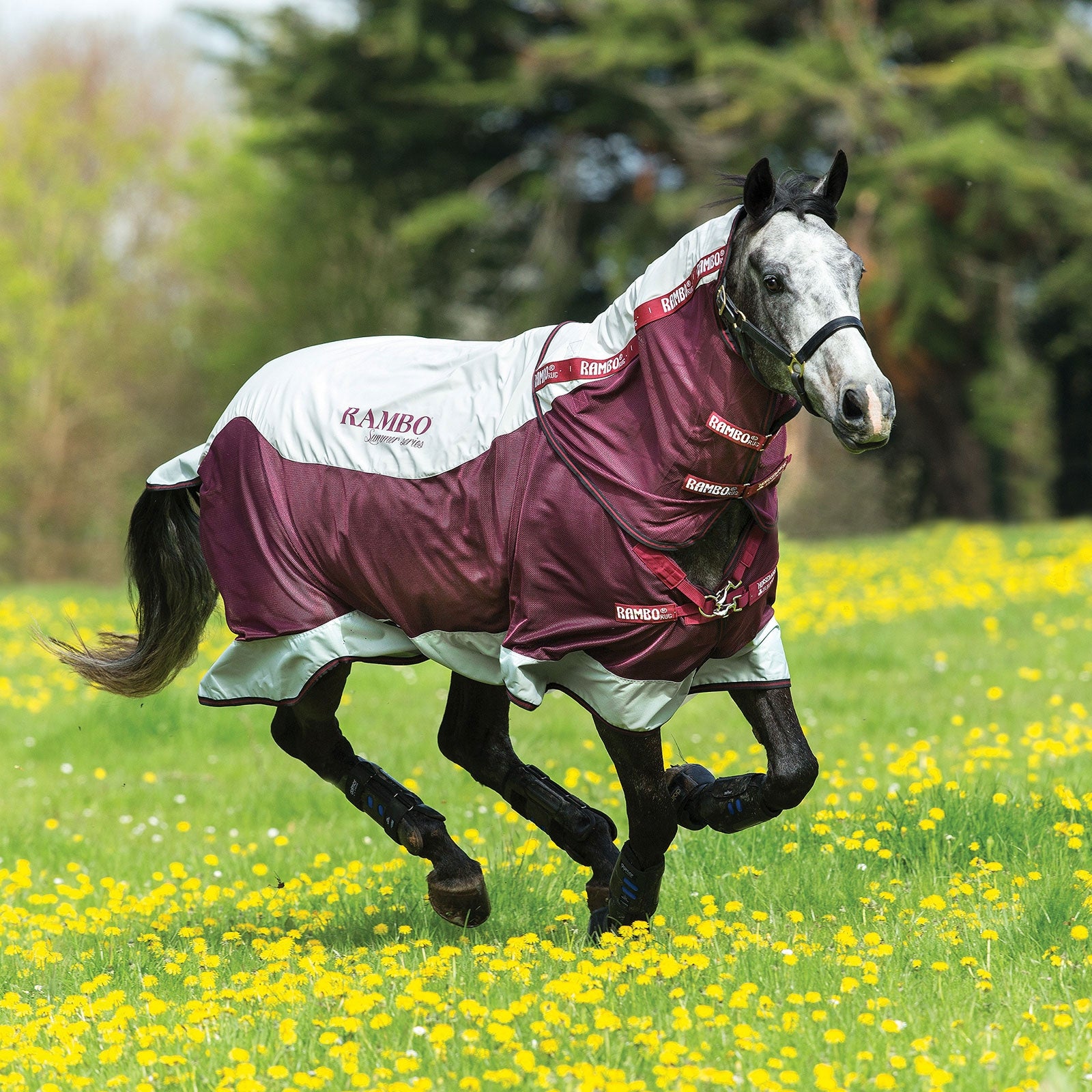 Horseware Rambo Summer Series ulkoloimi vuorilla (0g / 100g) ja irrotettava kaulaosa Loimet