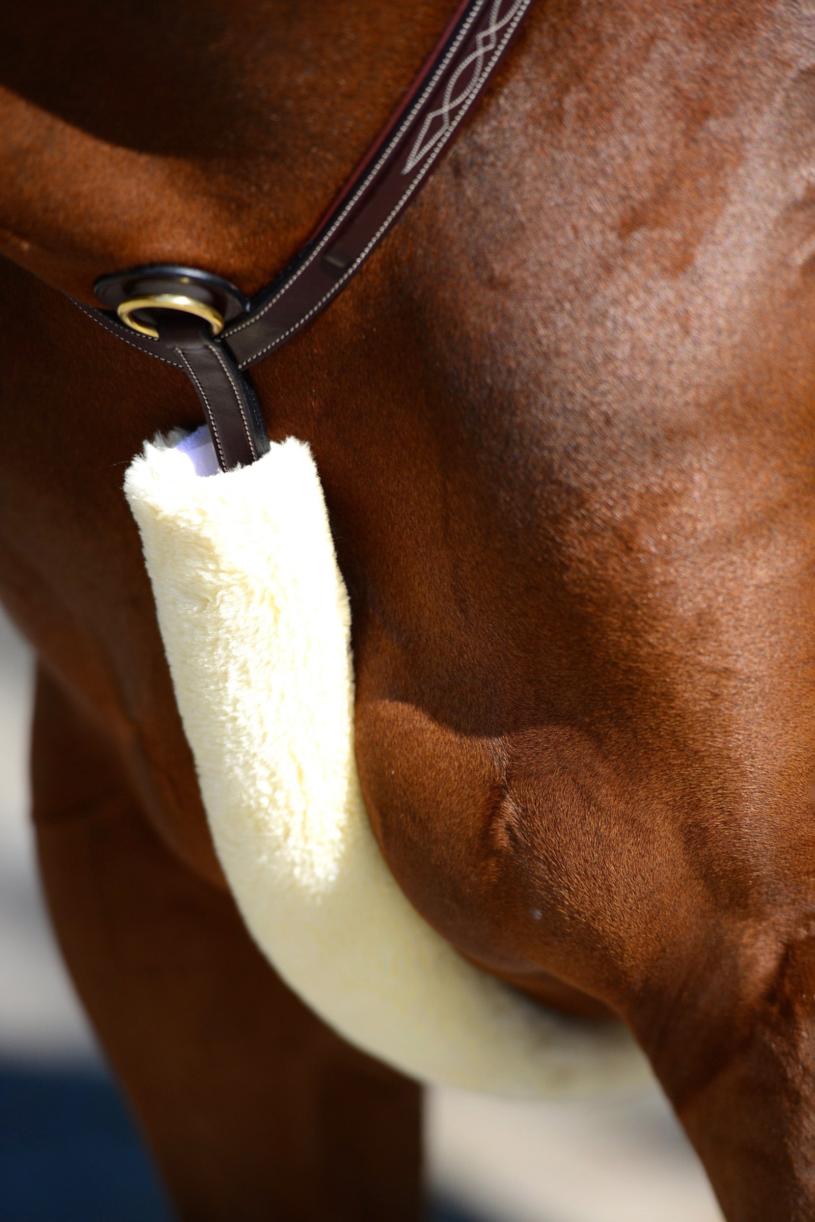 Kentucky Horsewear rintaremmin pehmuste lampaankarvasta Suitset & Ohjat