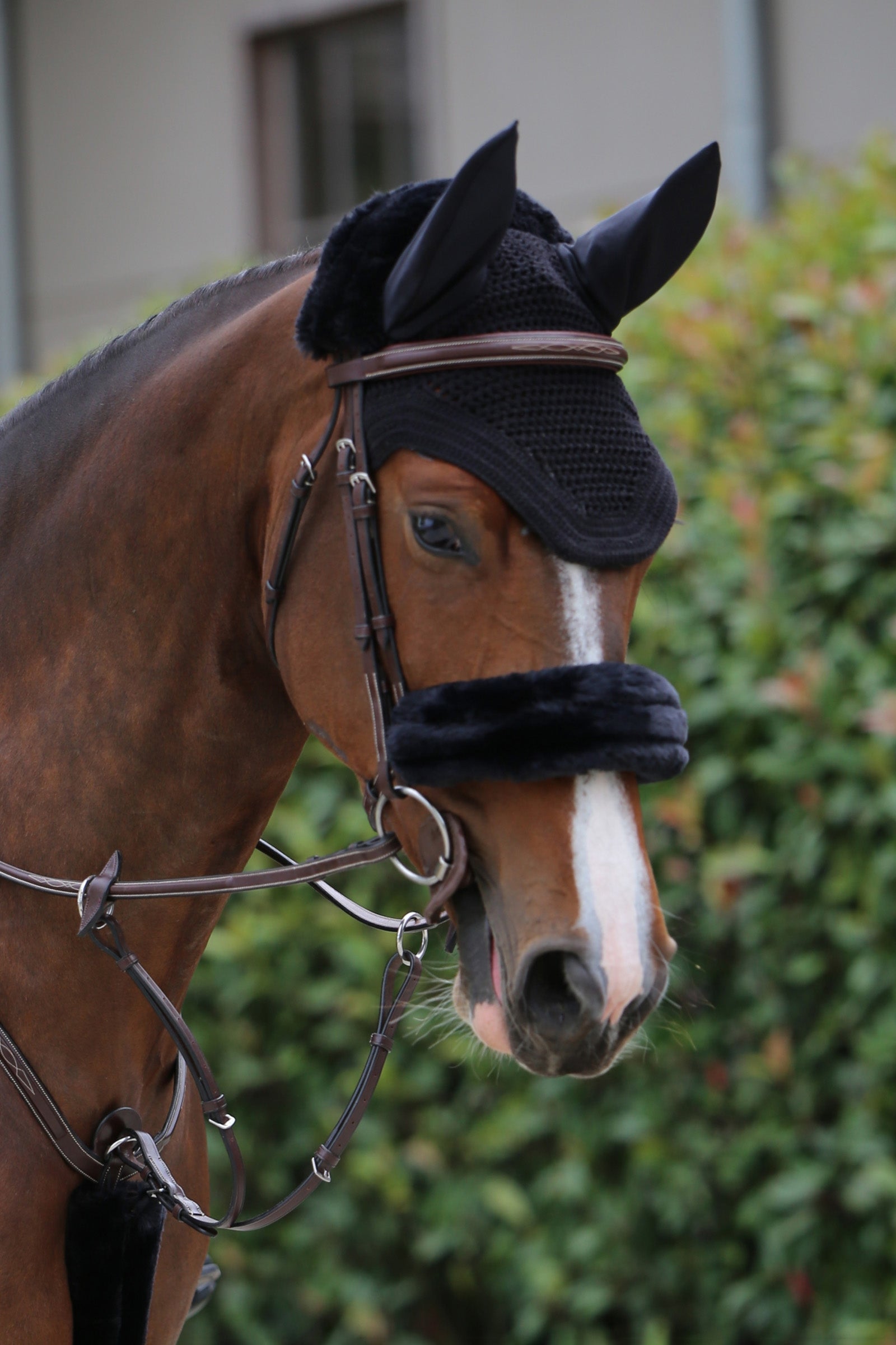 Kentucky Horsewear Sheepskin Noseband cover Bridles & Reins