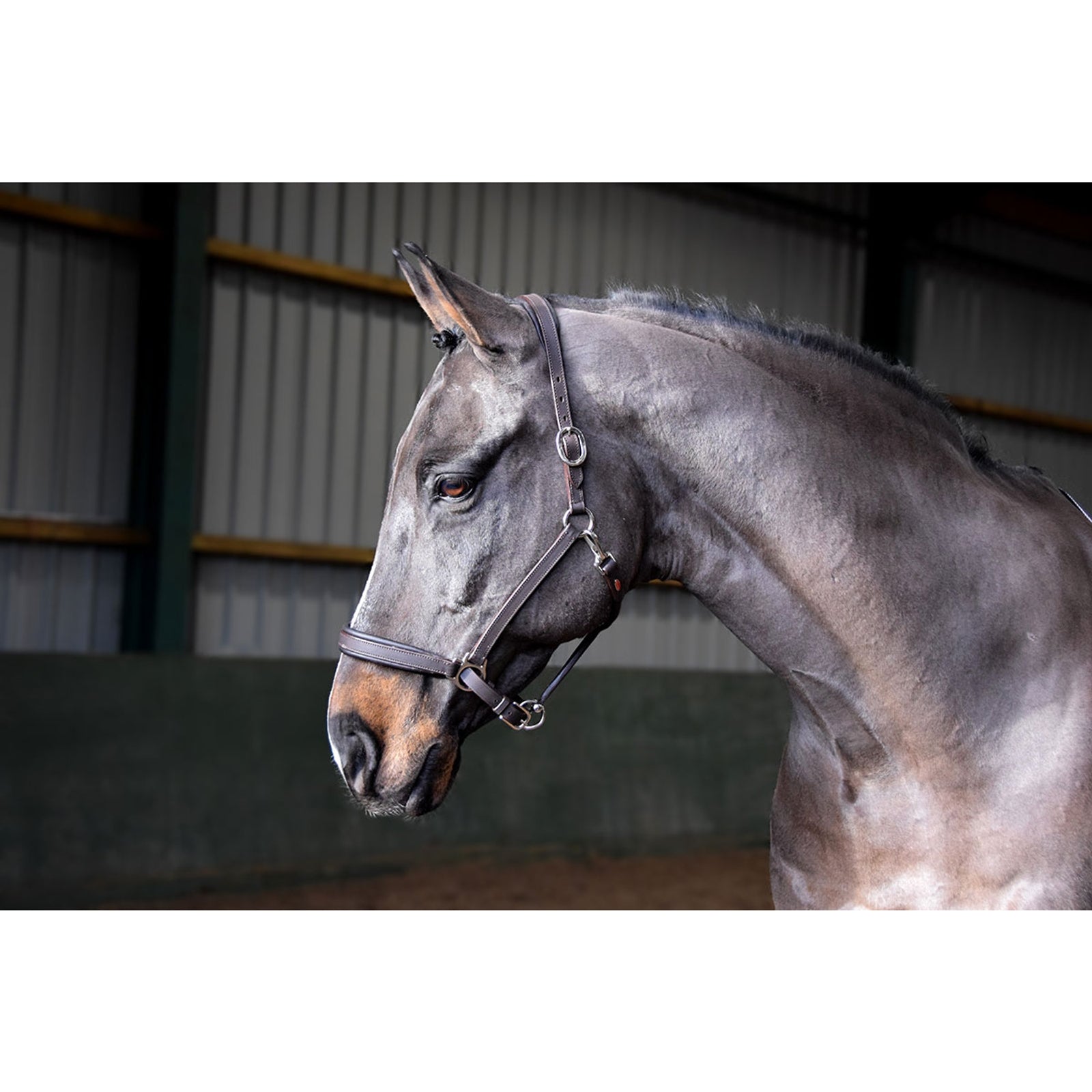 John Whitaker JW RT riimu Riimut & riimunnarut