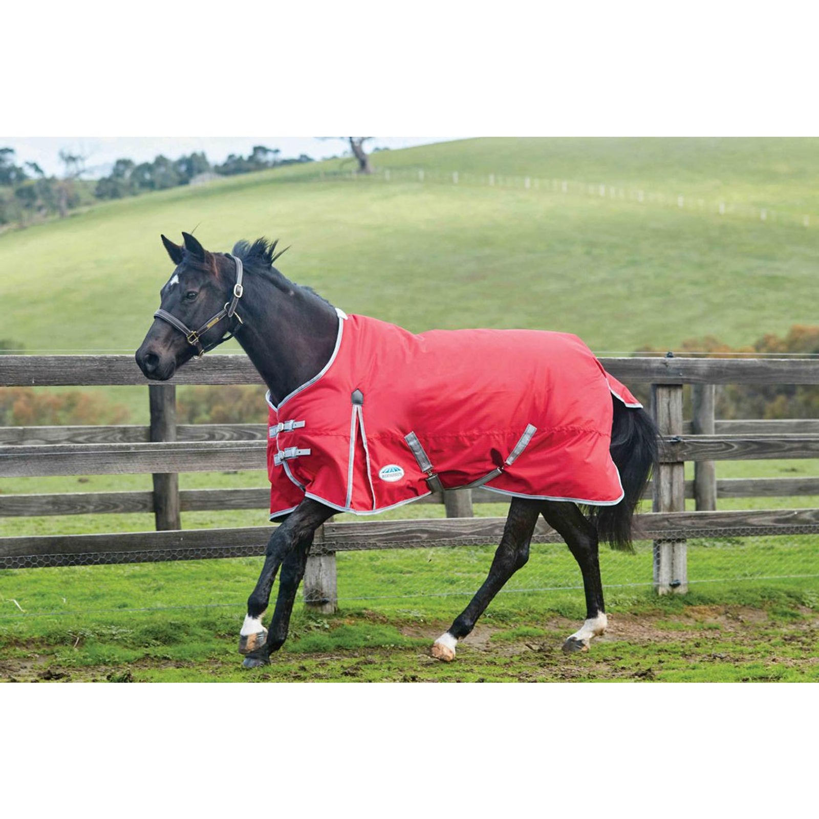 Weatherbeeta Comfitec Classic Medium ulkoloimi 220g Loimet