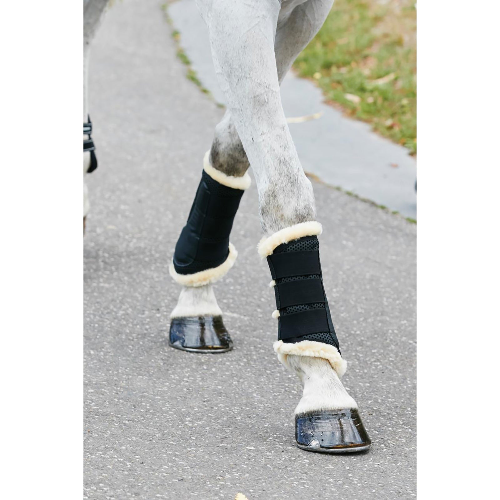 Weatherbeeta lampaankarvalla vuoratut treenisuojat Leg Protection & Hoof Protection for Horses