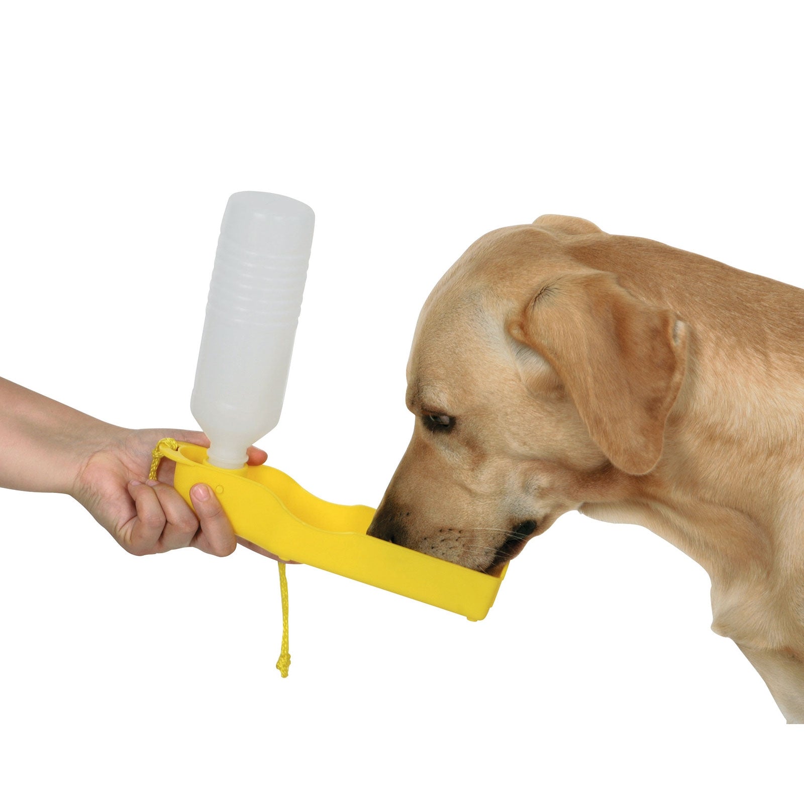 Kerbl Protective blanket for cars Dog Accesories