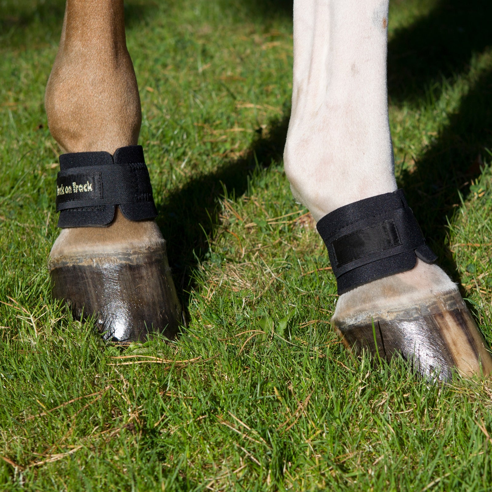Back on Track Bacl on Track Pastern Wrap Leg Protection & Hoof Protection for Horses