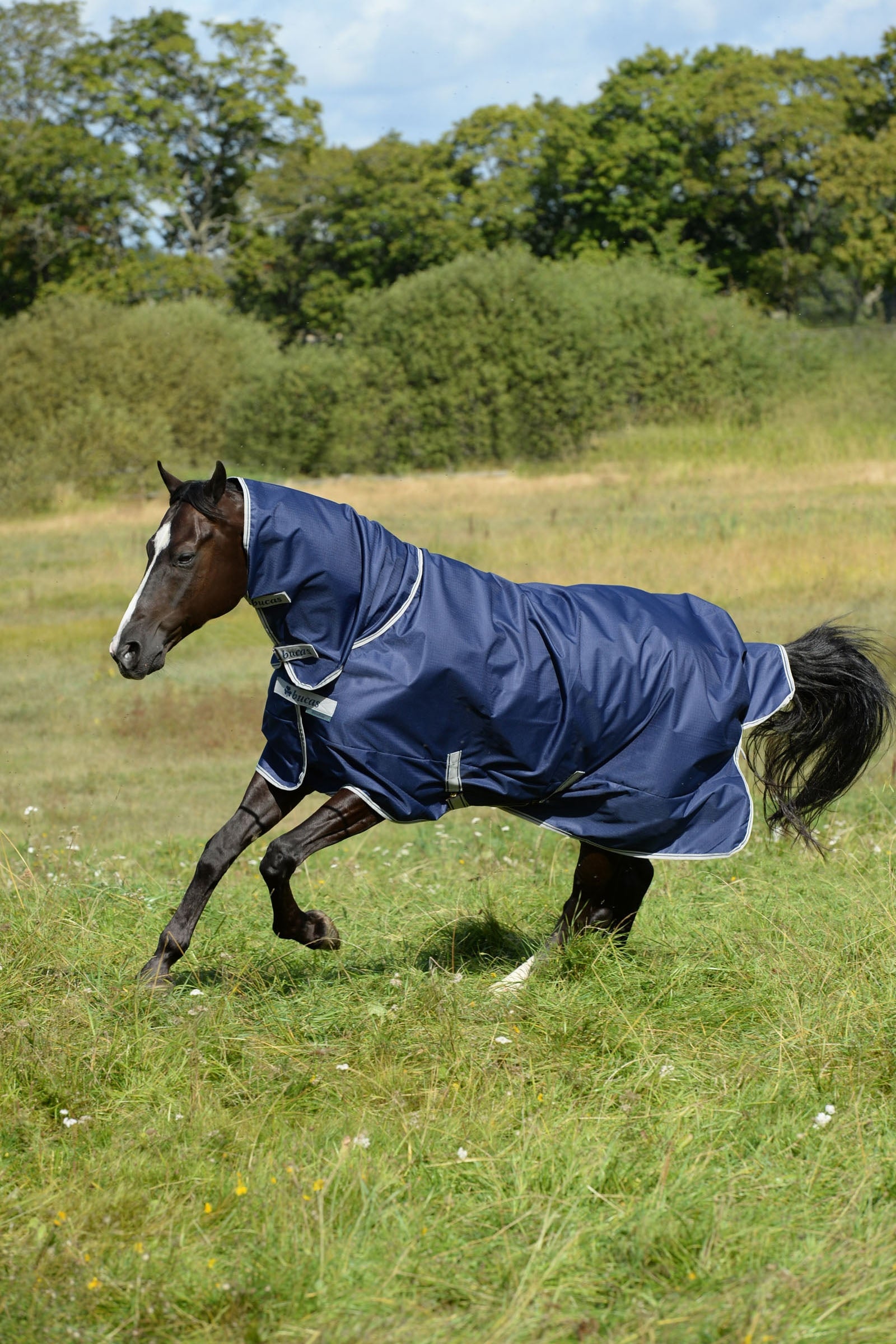 Lifestyle shot 5