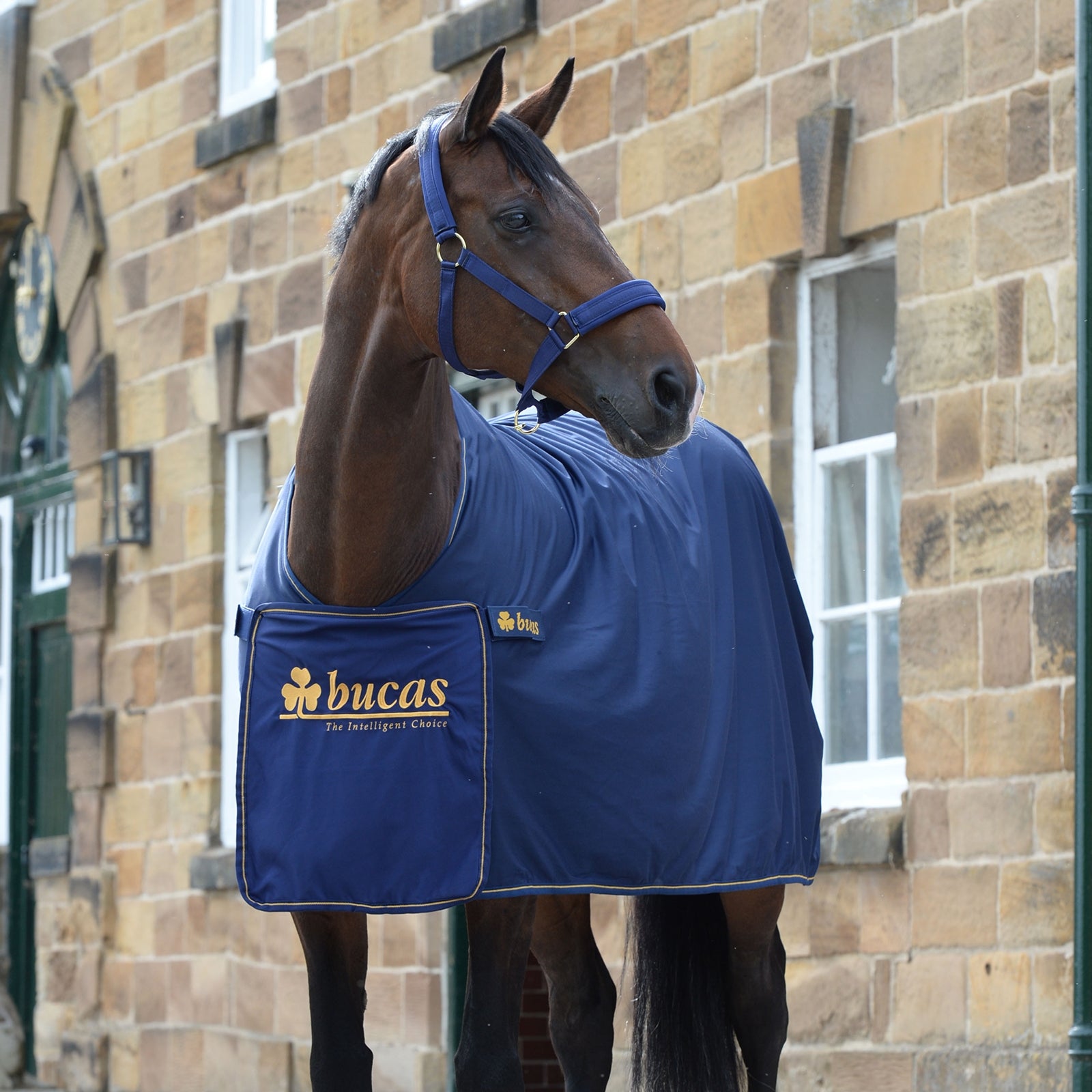 Bucas Panel Prize Cooler -loimi Loimet