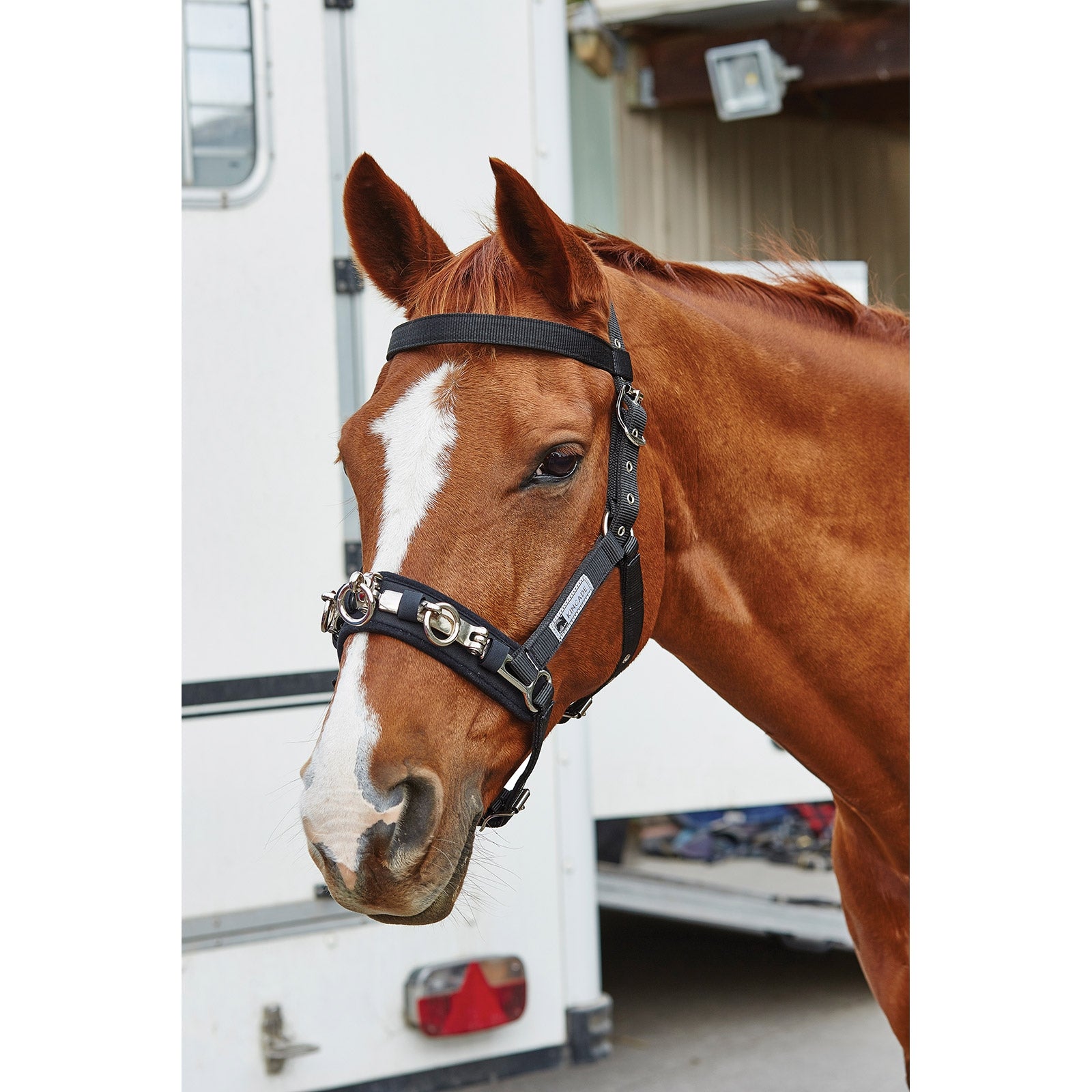 Kincade Coordinate -juoksutusriimu Juoksutus & ohjasajo