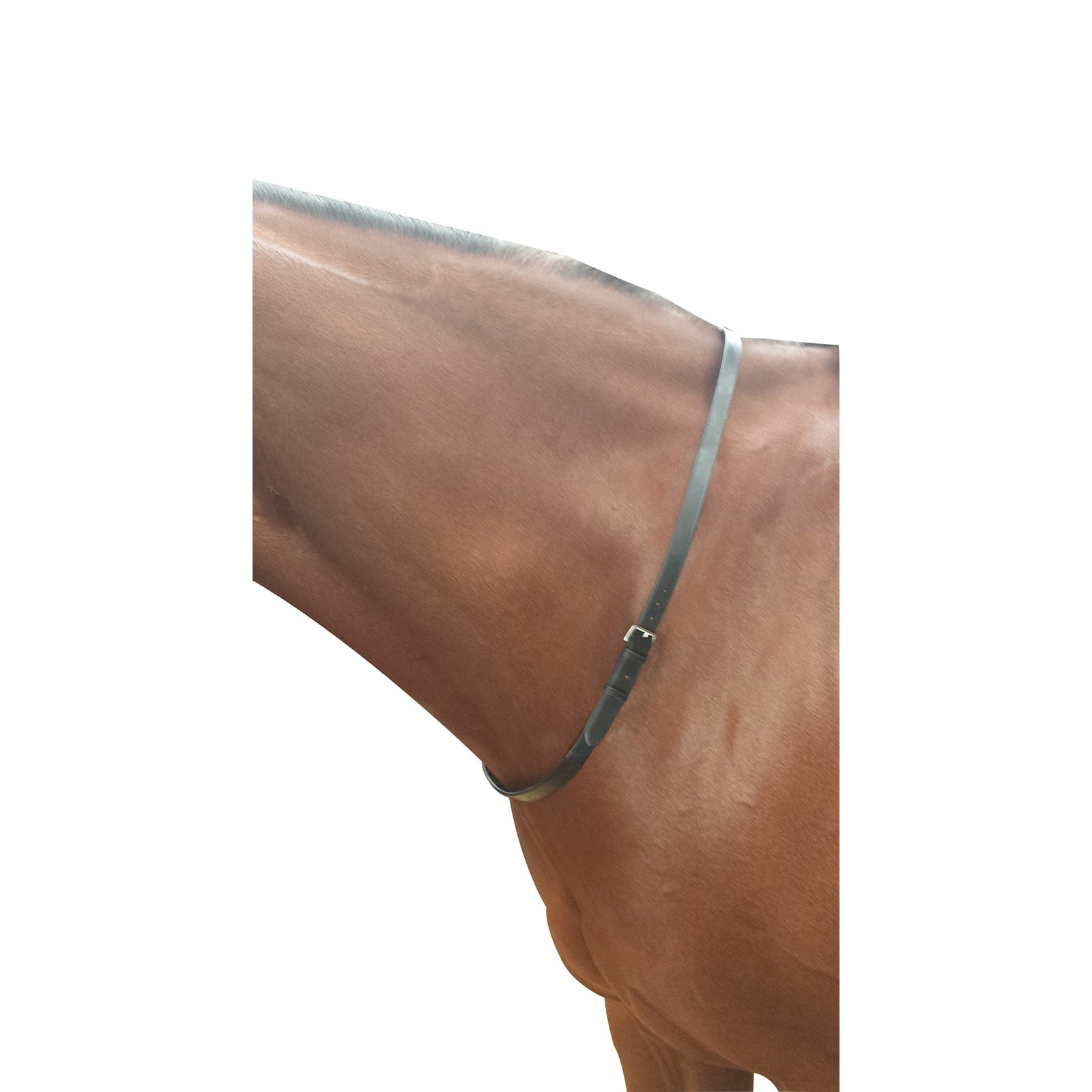Kincade Neck Strap Bridles & Reins