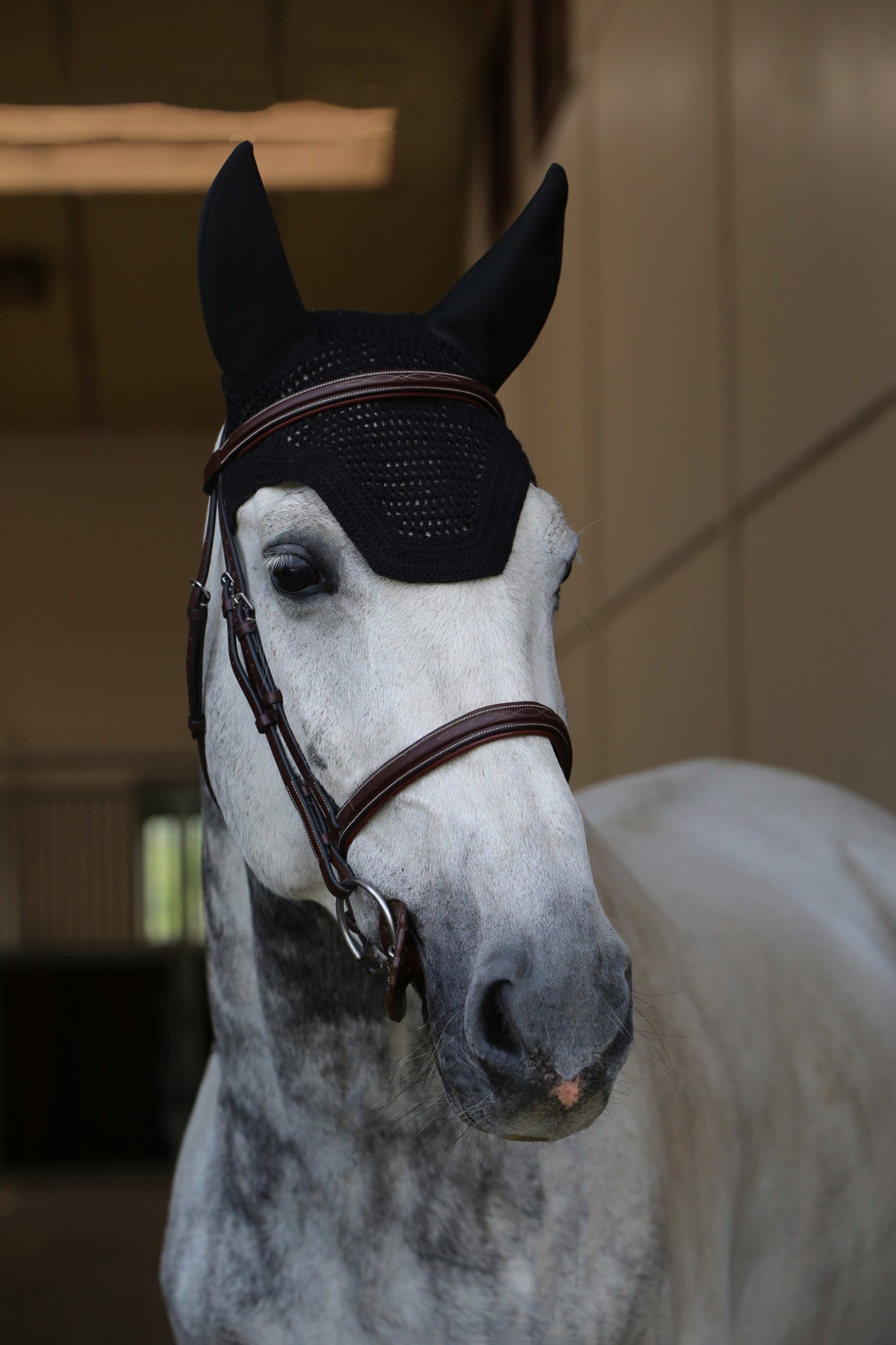 Kentucky Horsewear Wellington Soundless -korvahuppu Satulahuovat