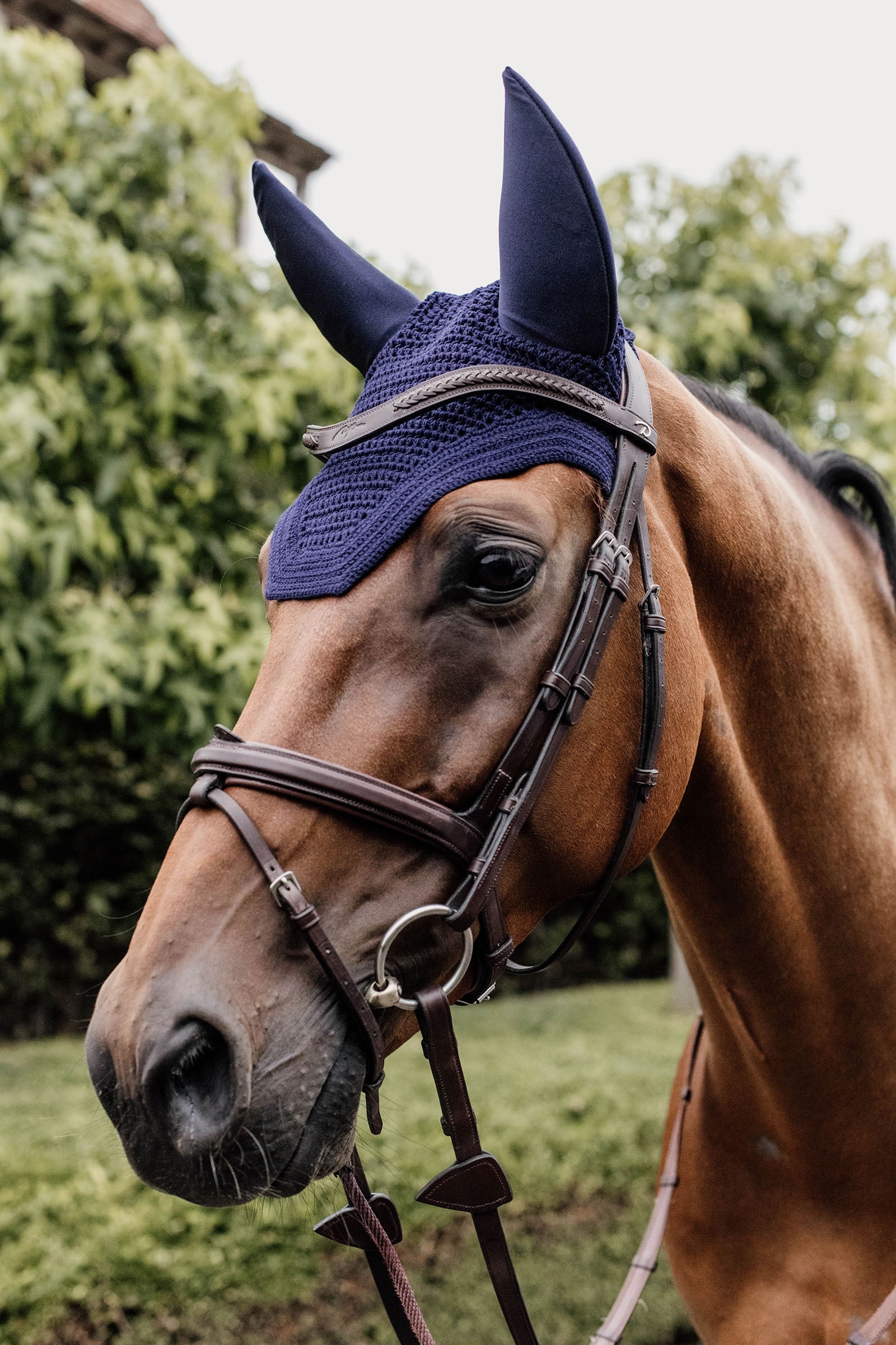 Kentucky Horsewear Wellington Soundless -korvahuppu Satulahuovat