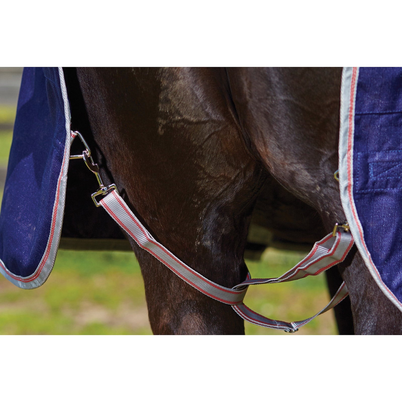 Weatherbeeta Comfitec Essential Turnout Rug with Fixed Neck, 0g Horse Rugs