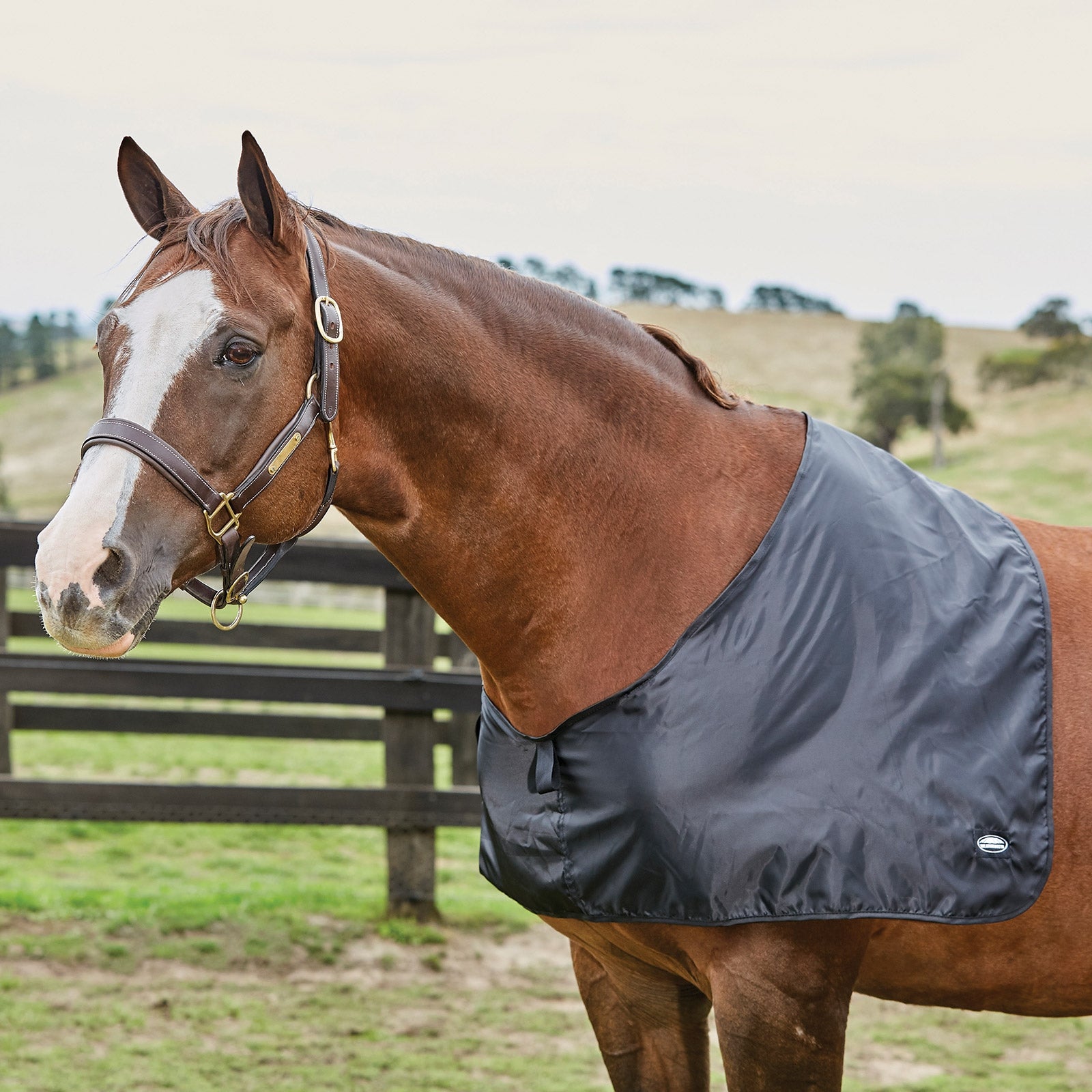 Weatherbeeta Satin Shoulder Guard -lapasuojus Loimet
