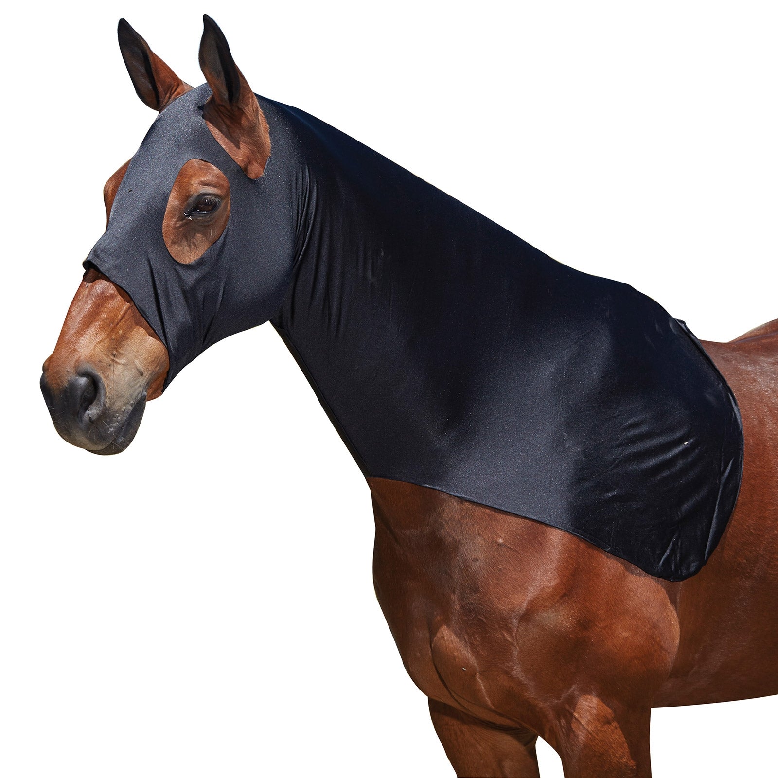 Weatherbeeta Stretch -huppu Loimet