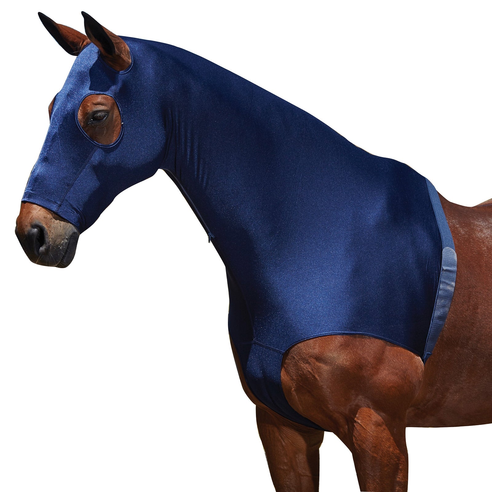 Weatherbeeta Stretch -huppu vetoketjulla Loimet