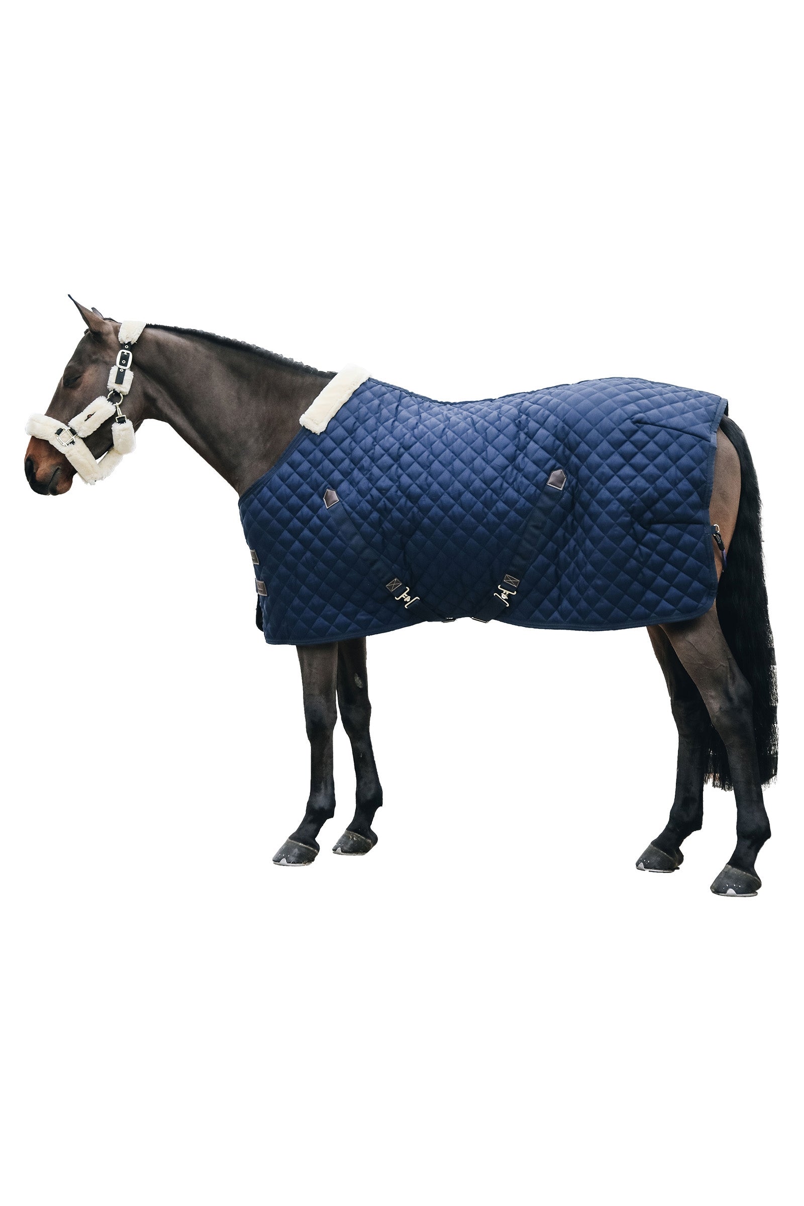 Kentucky Horsewear talliloimi 400 g Loimet