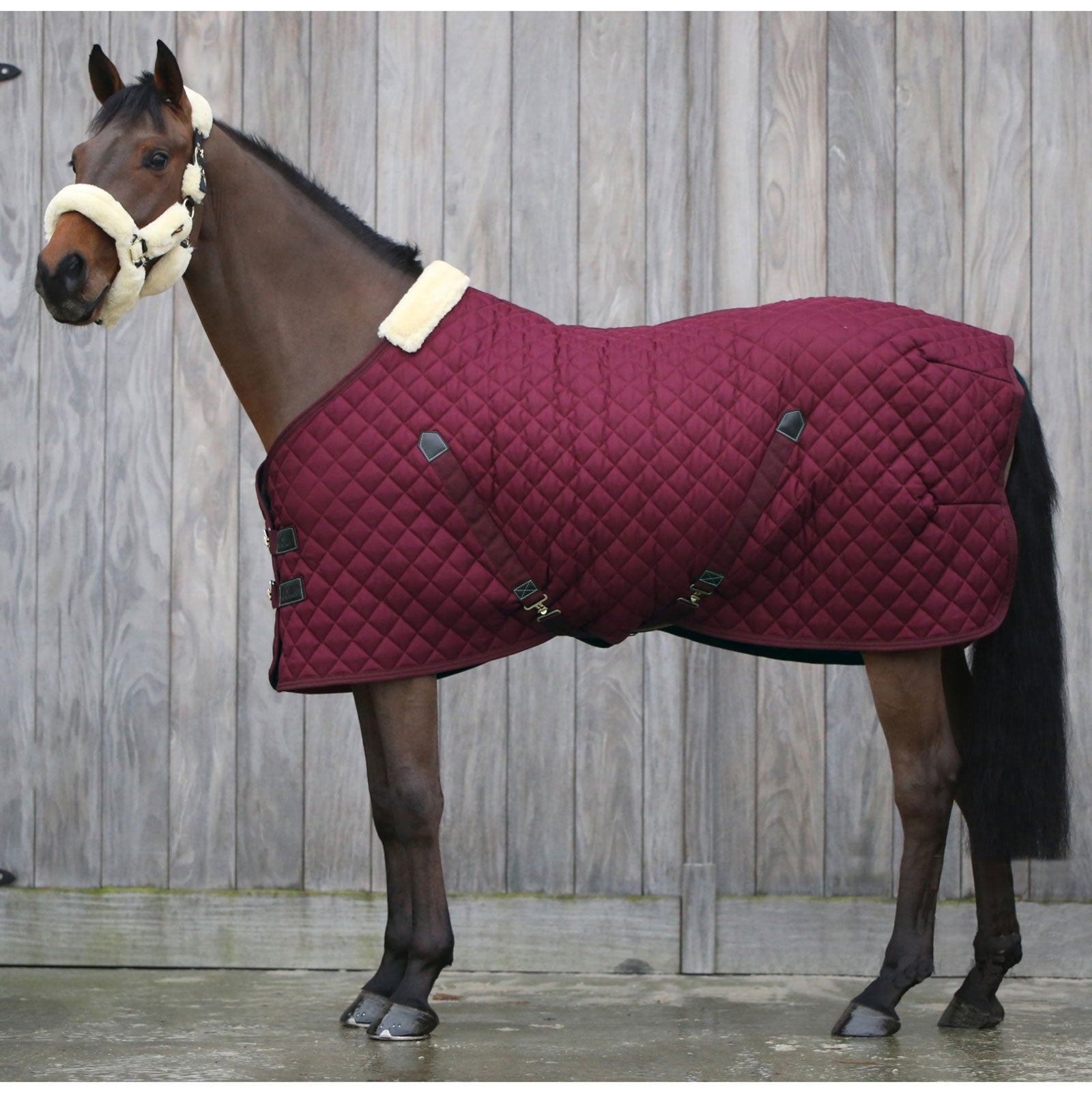 Kentucky Horsewear talliloimi 400 g Loimet