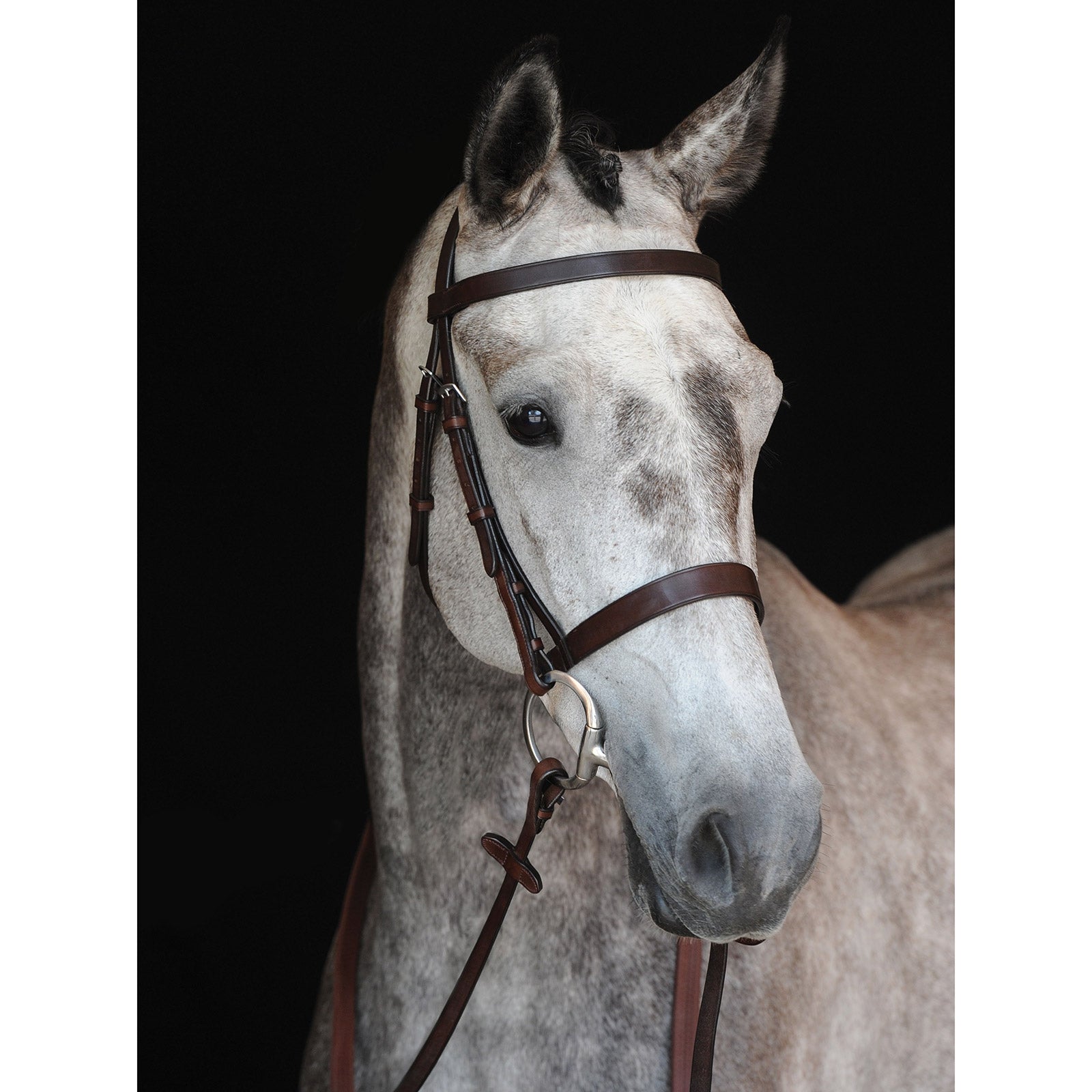 Collegiate Hunt Cavesson IV -suitset Suitset & Ohjat