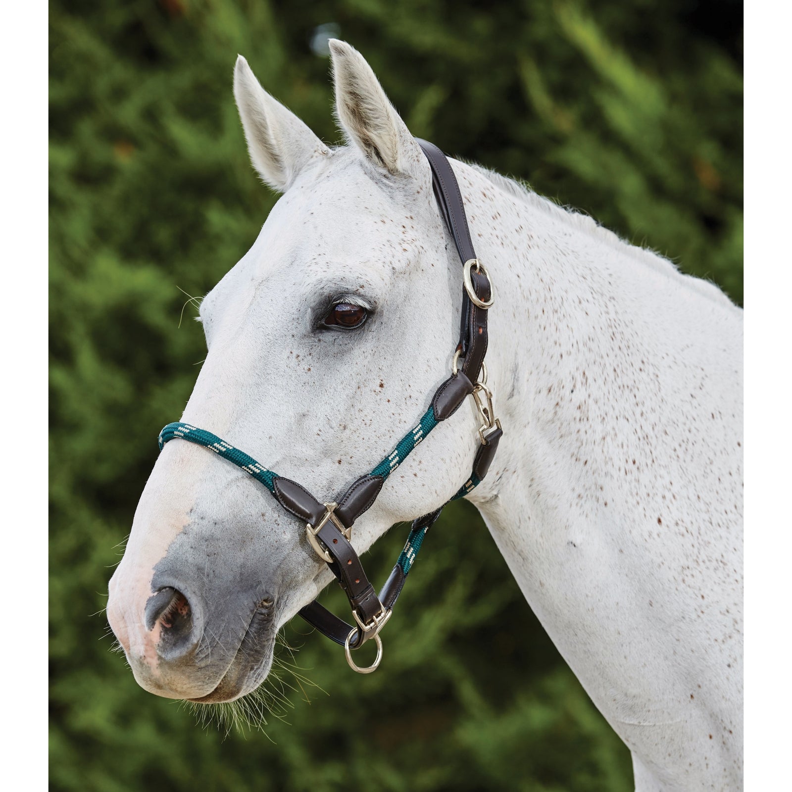 Kincade Kincade-nahka/naruriimu Riimut & riimunnarut