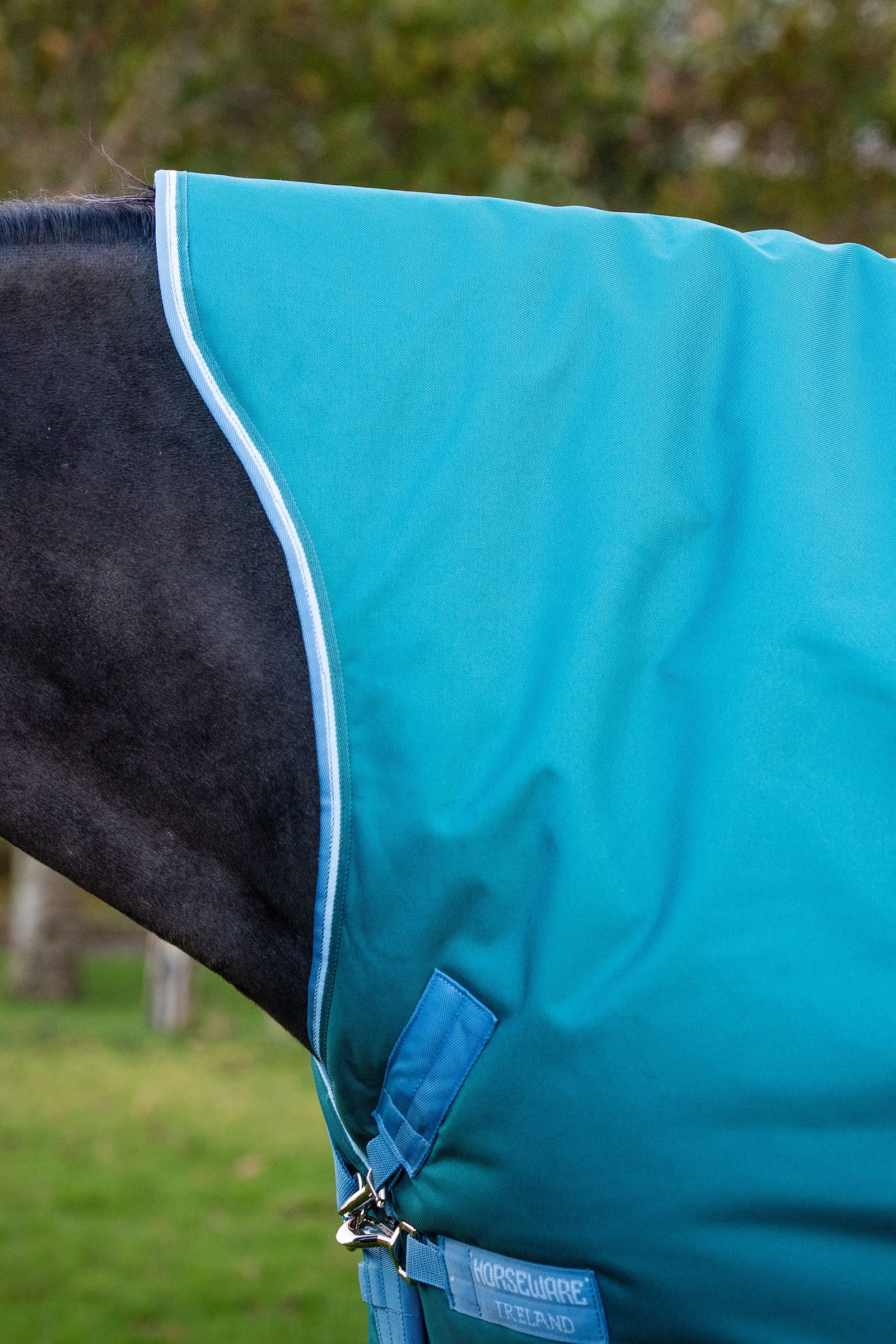 Horseware Amigo Bravo 12 Wug Turnout Rug With High Neck, 0g Horse Rugs