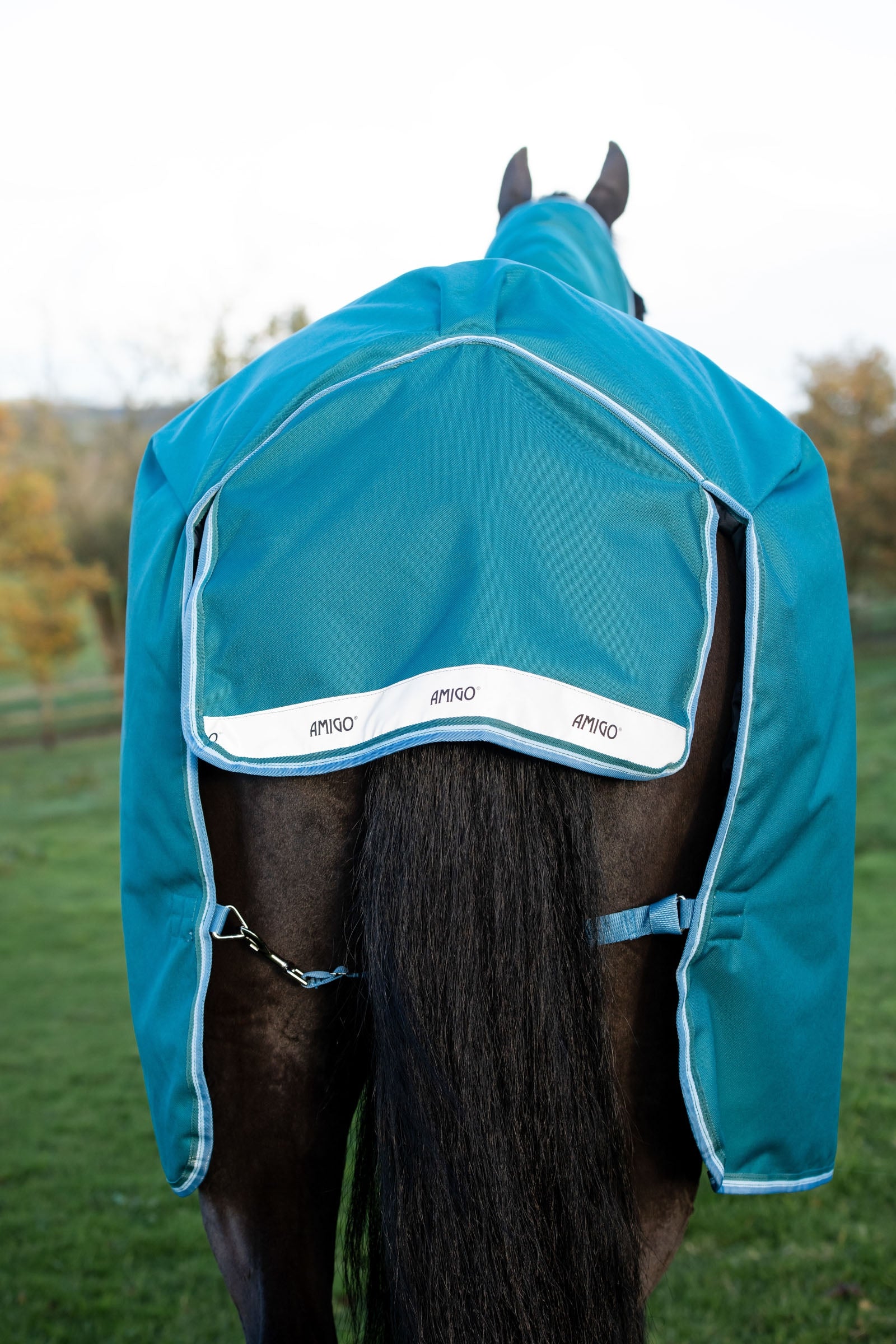 Horseware Amigo Bravo 12 Plus Turnout Rug With Detachable Neck, 400g Horse Rugs
