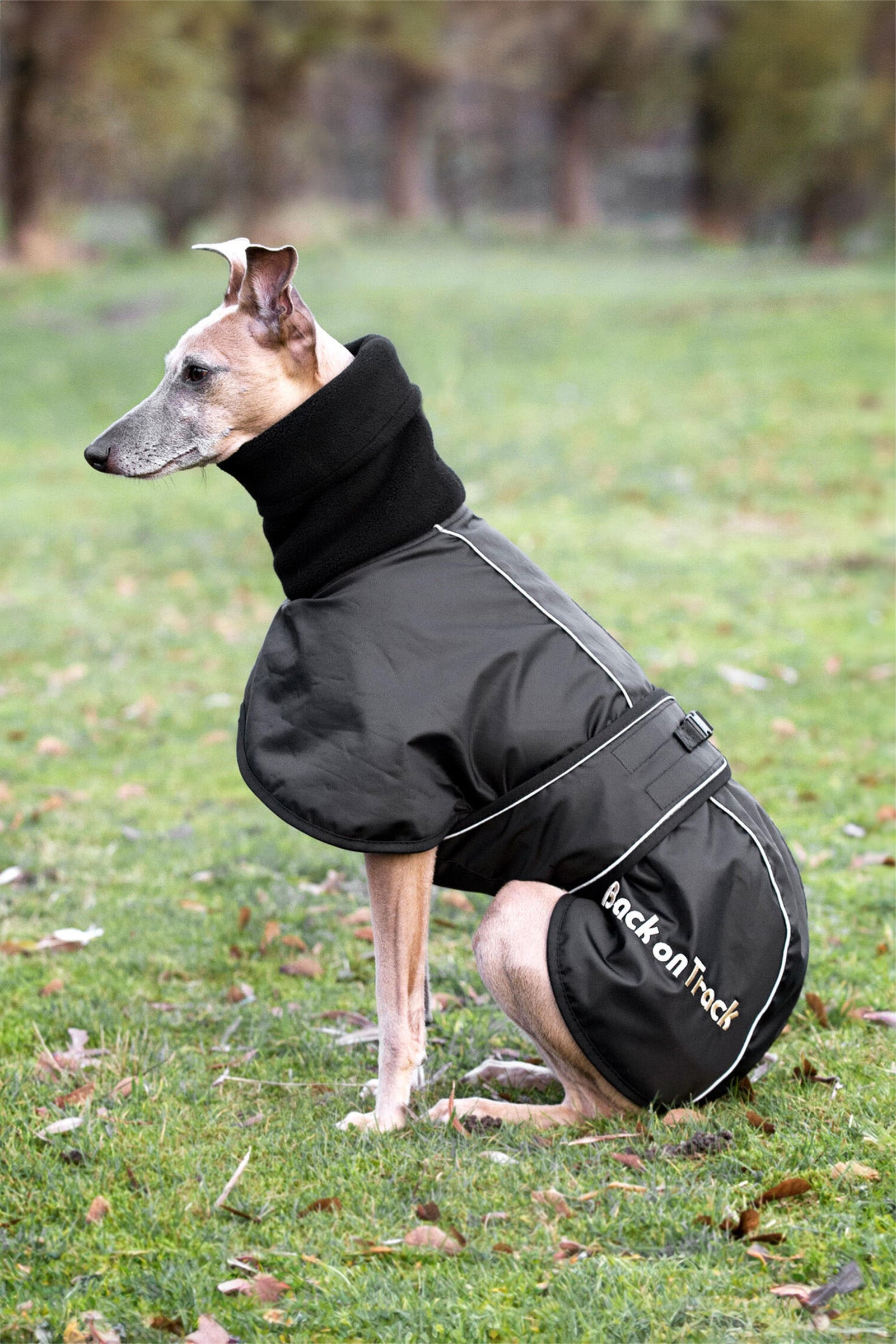 Back on Track Whippet Dog Rug, XS-M Dog Accesories