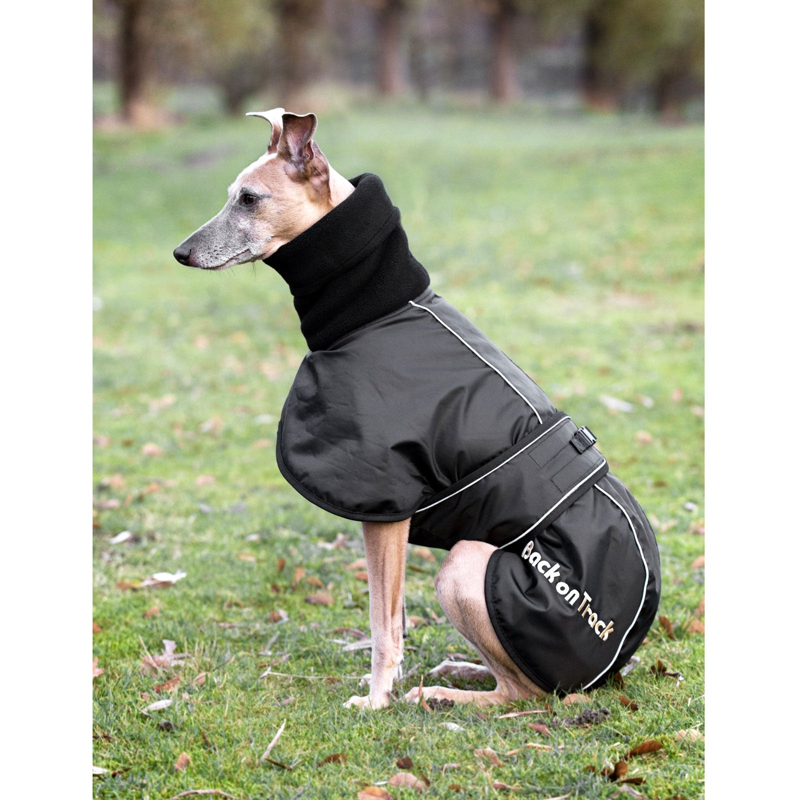 Back on Track Whippet koiranloimi, L-XXL Koiratarvikkeet