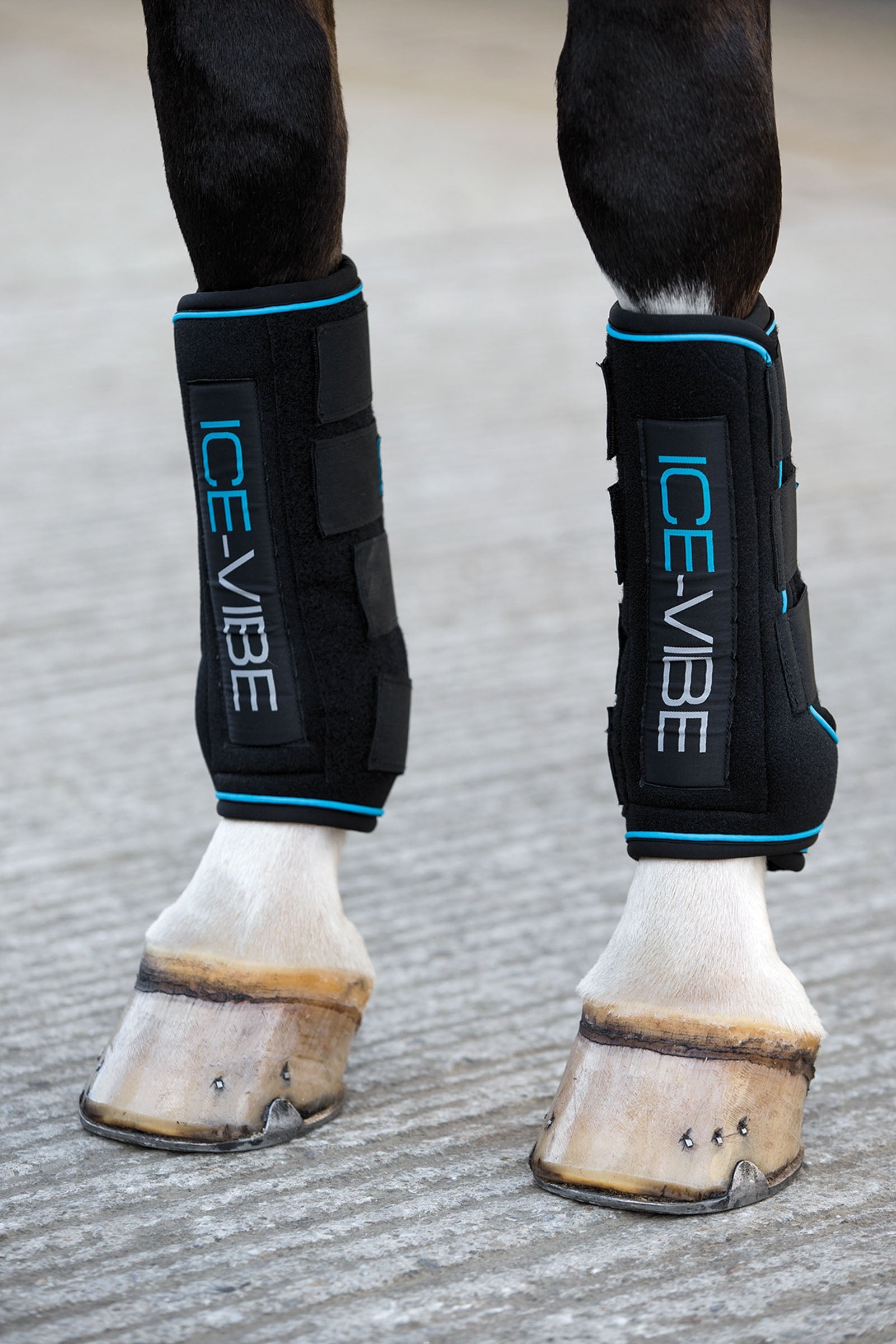 Horseware Ice-Vibe kylmäyssuojat Leg Protection & Hoof Protection for Horses