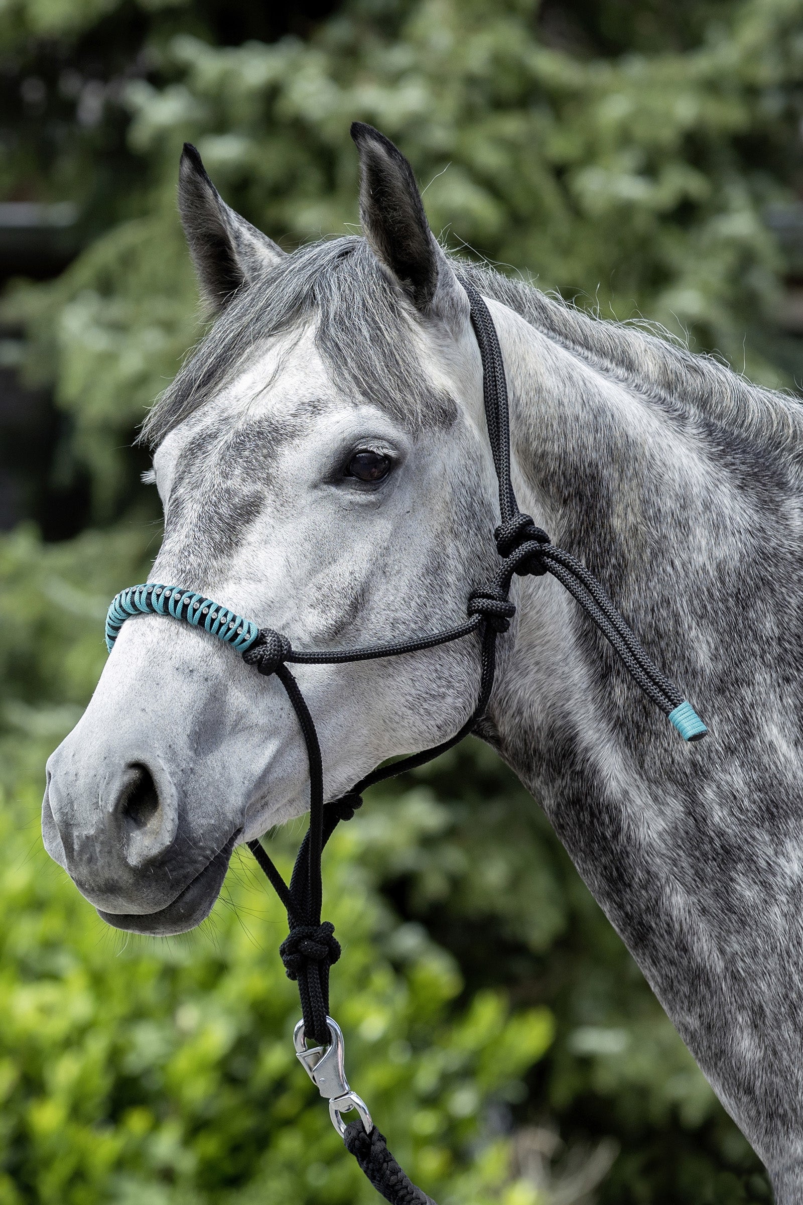 USG Knotted Rope Halter Riimut & riimunnarut