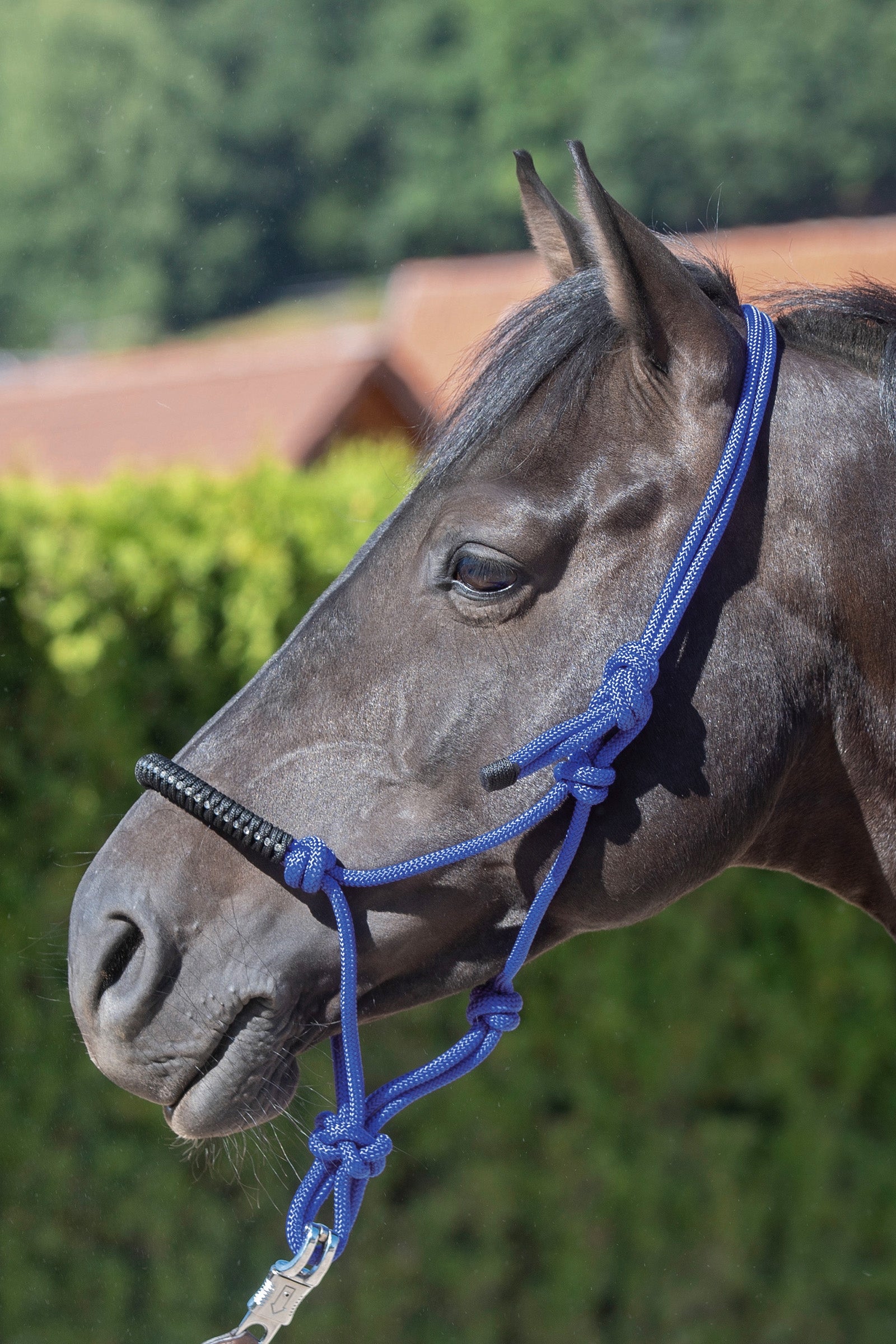 USG Knotted Rope Halter Halters & Leads