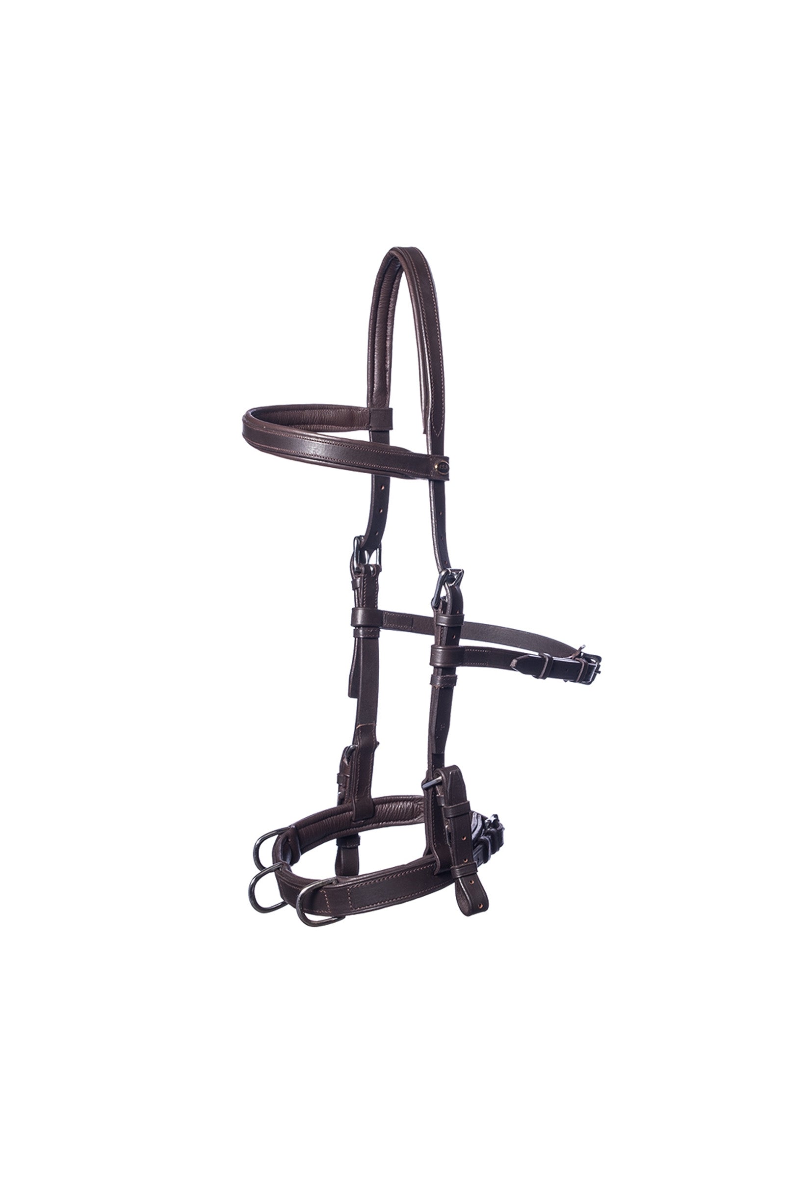 F.R.A. Freedom Riding Articles Baro kapsoni, nahkaa (shire) Juoksutus & ohjasajo