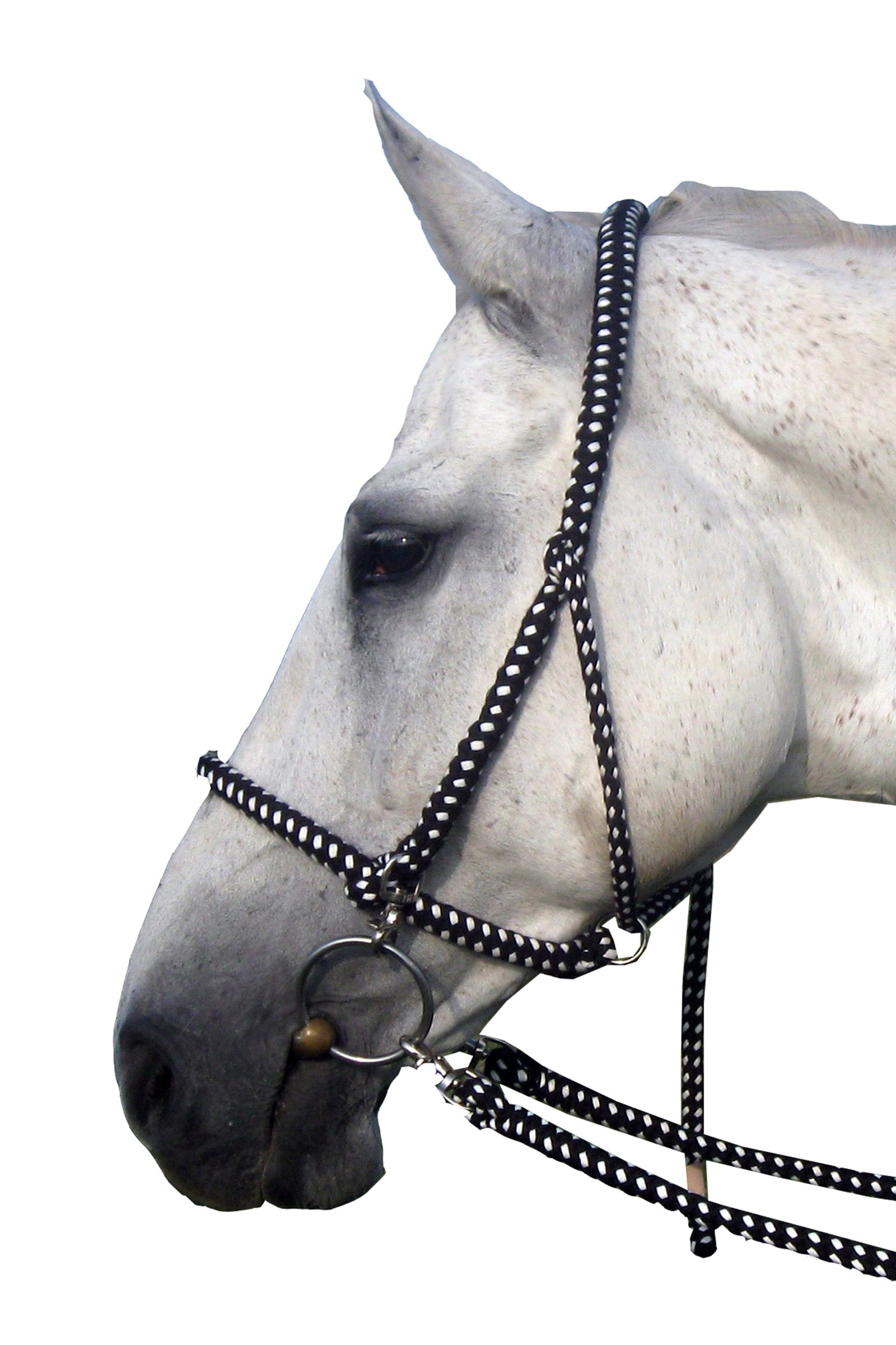 F.R.A. Freedom Riding Articles Gregor riimusuitset puuvillaohjilla Riimut & riimunnarut