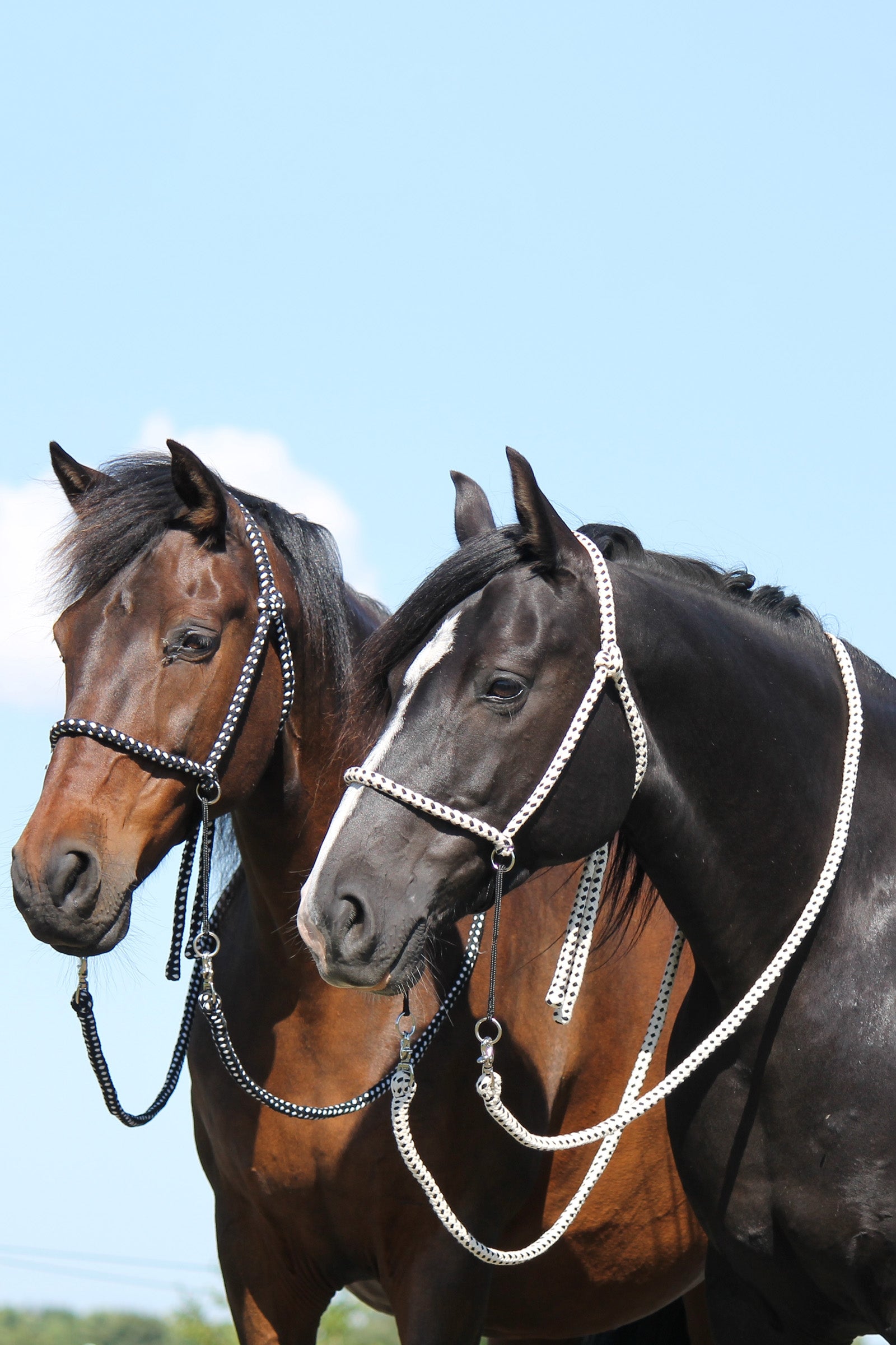 F.R.A. Freedom Riding Articles Nanouk Bitless Bridle (System 4) Cotton w/ Clip Reins Bridles & Reins