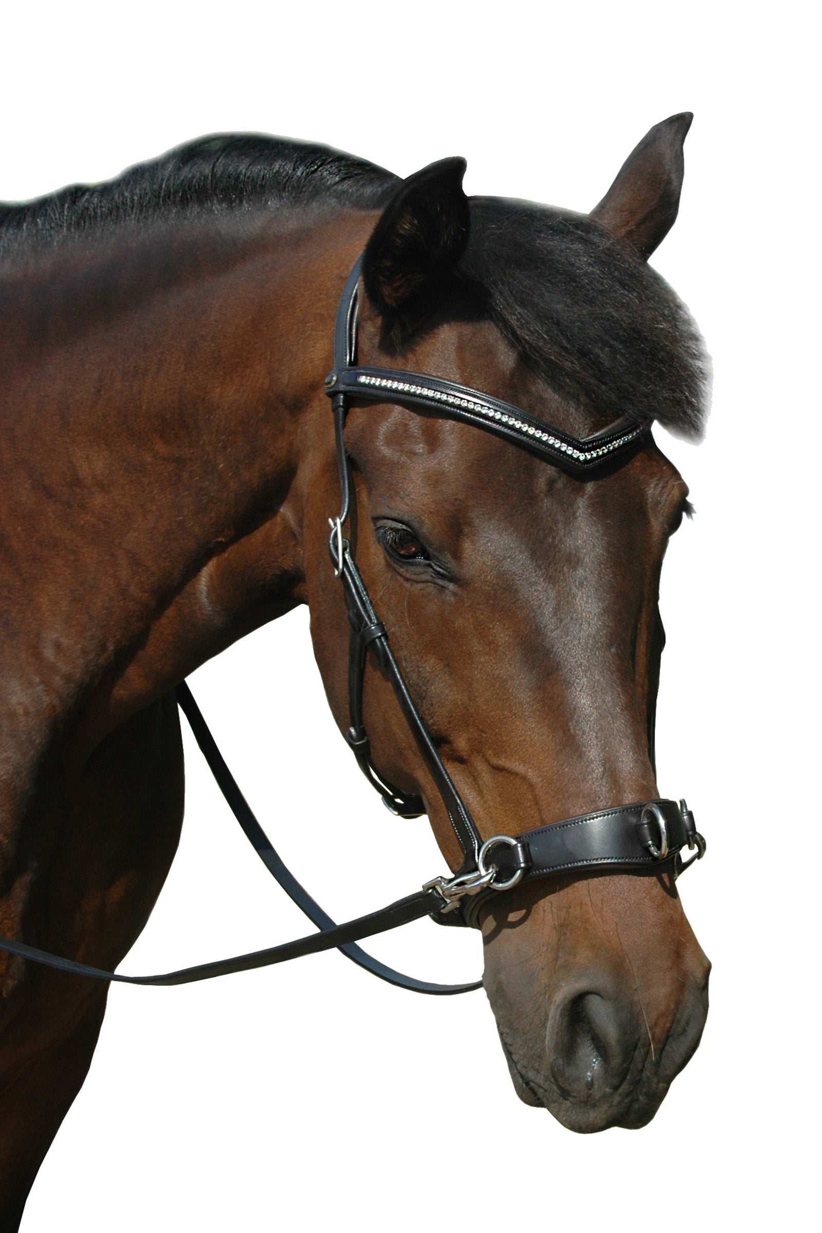 F.R.A. Freedom Riding Articles Wendy B Cavesson, Bitless Bridle, Leather Reins w/ Clip Bridles & Reins