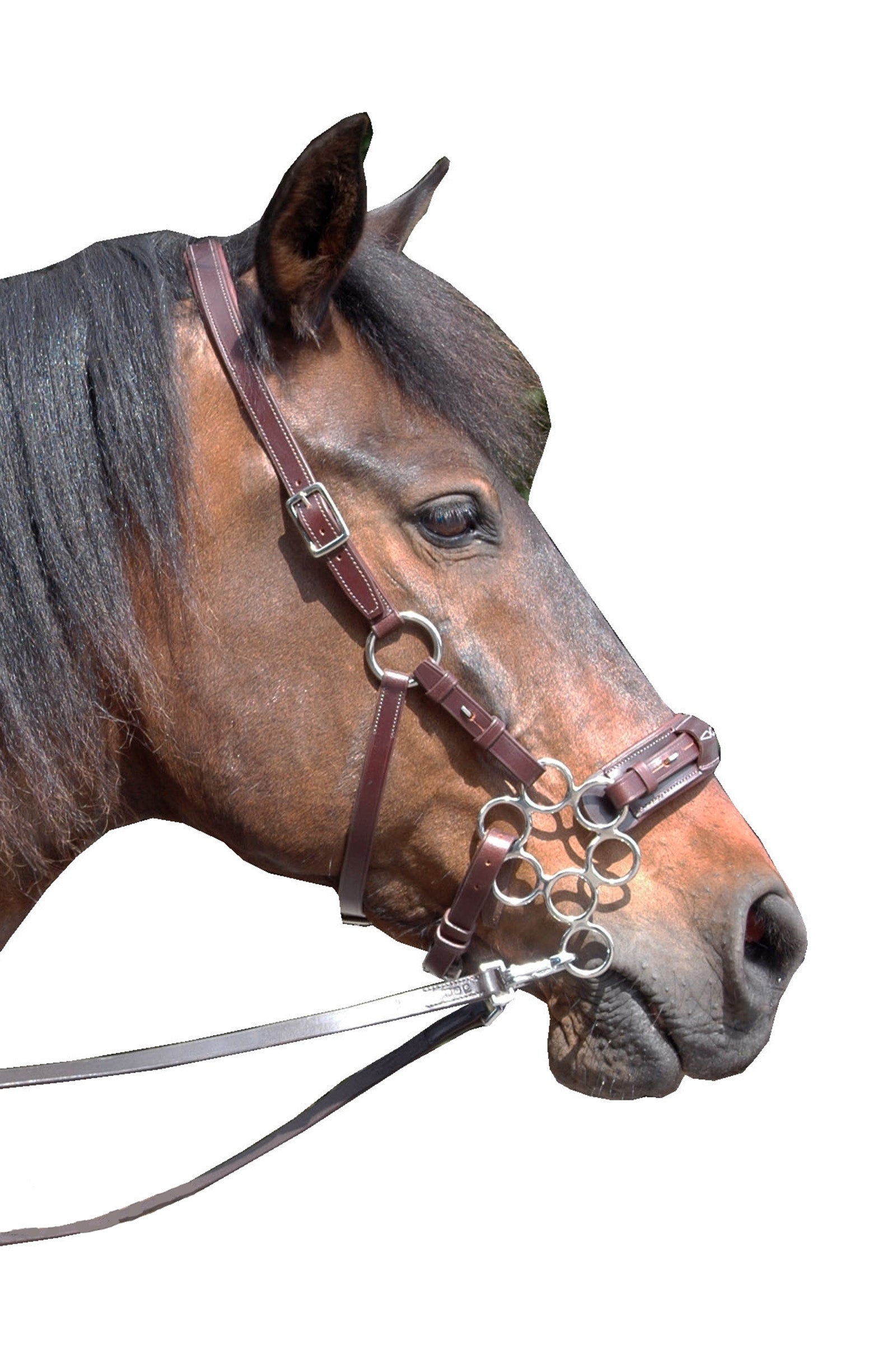 F.R.A. Freedom Riding Articles Aram Hackamore (System 2) nahkaa, leukahihnat, varsilla Suitset & Ohjat