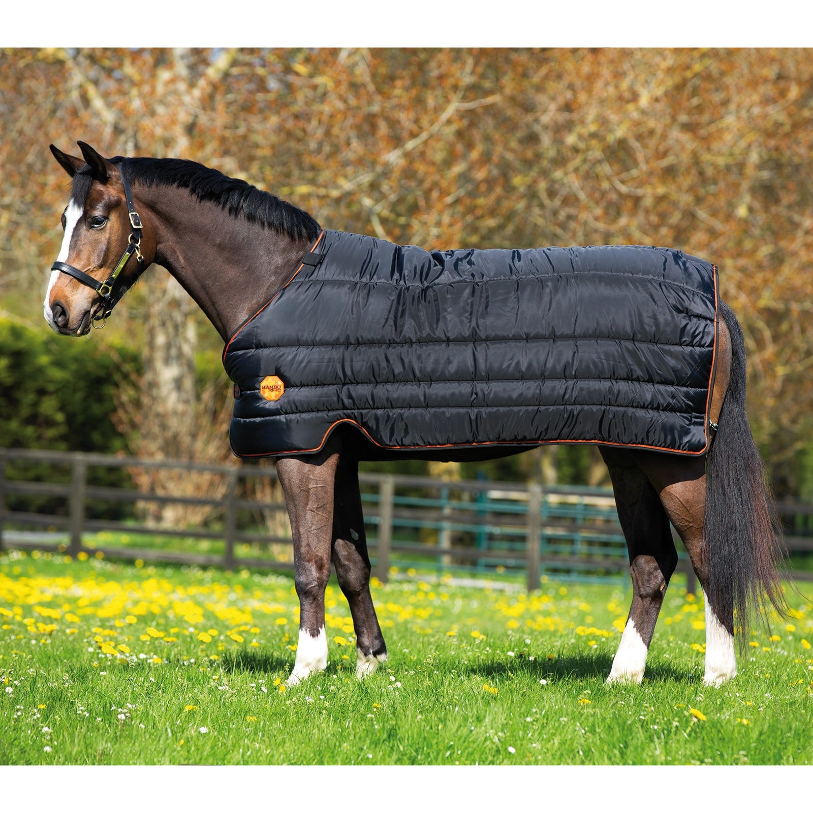 Horseware Rambo Ionic talliloimen lisävuori 100 g Loimet