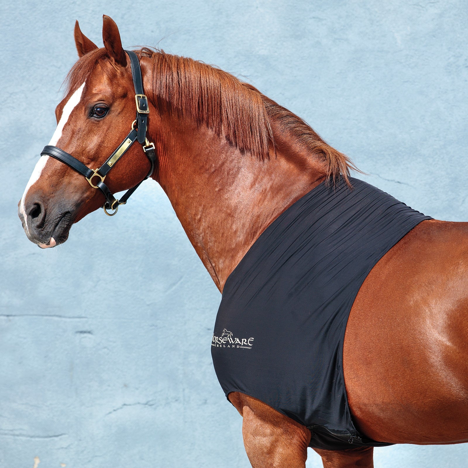 Horseware Rambo Slinky lapasuojus Loimet