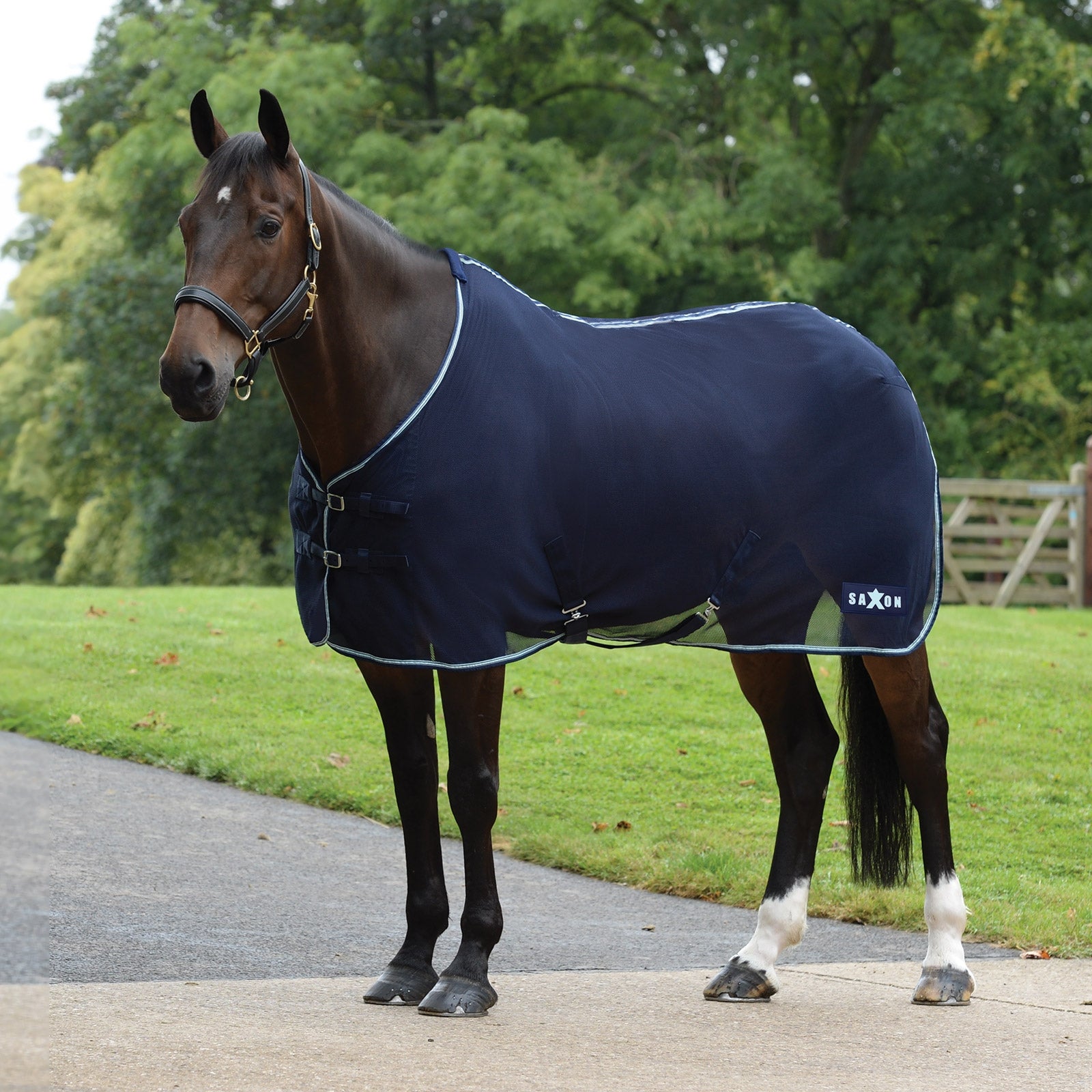 Saxon Element Cooler Standard Neck -verkkoloimi Loimet