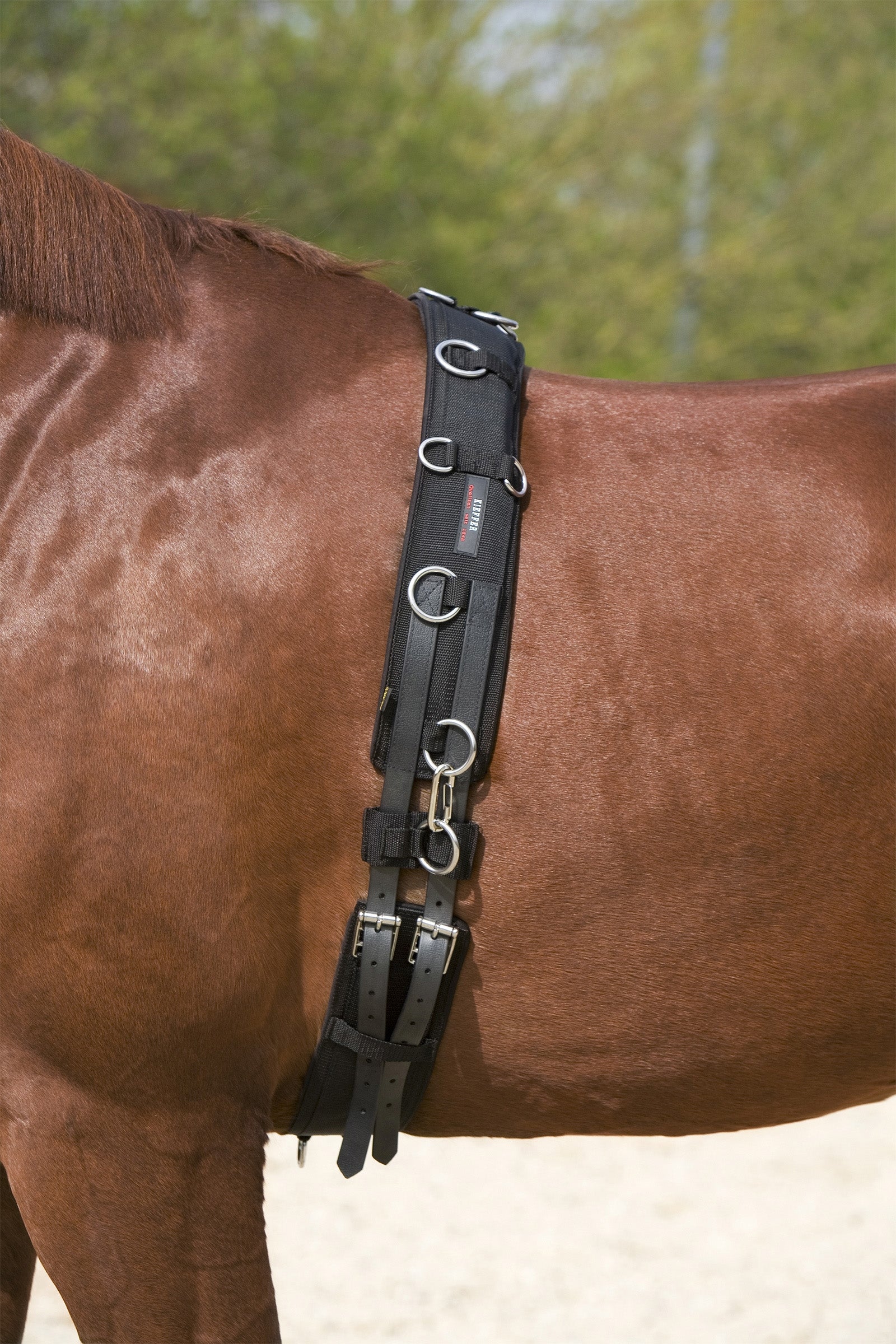 Kieffer juoksutusvyö Juoksutus & ohjasajo