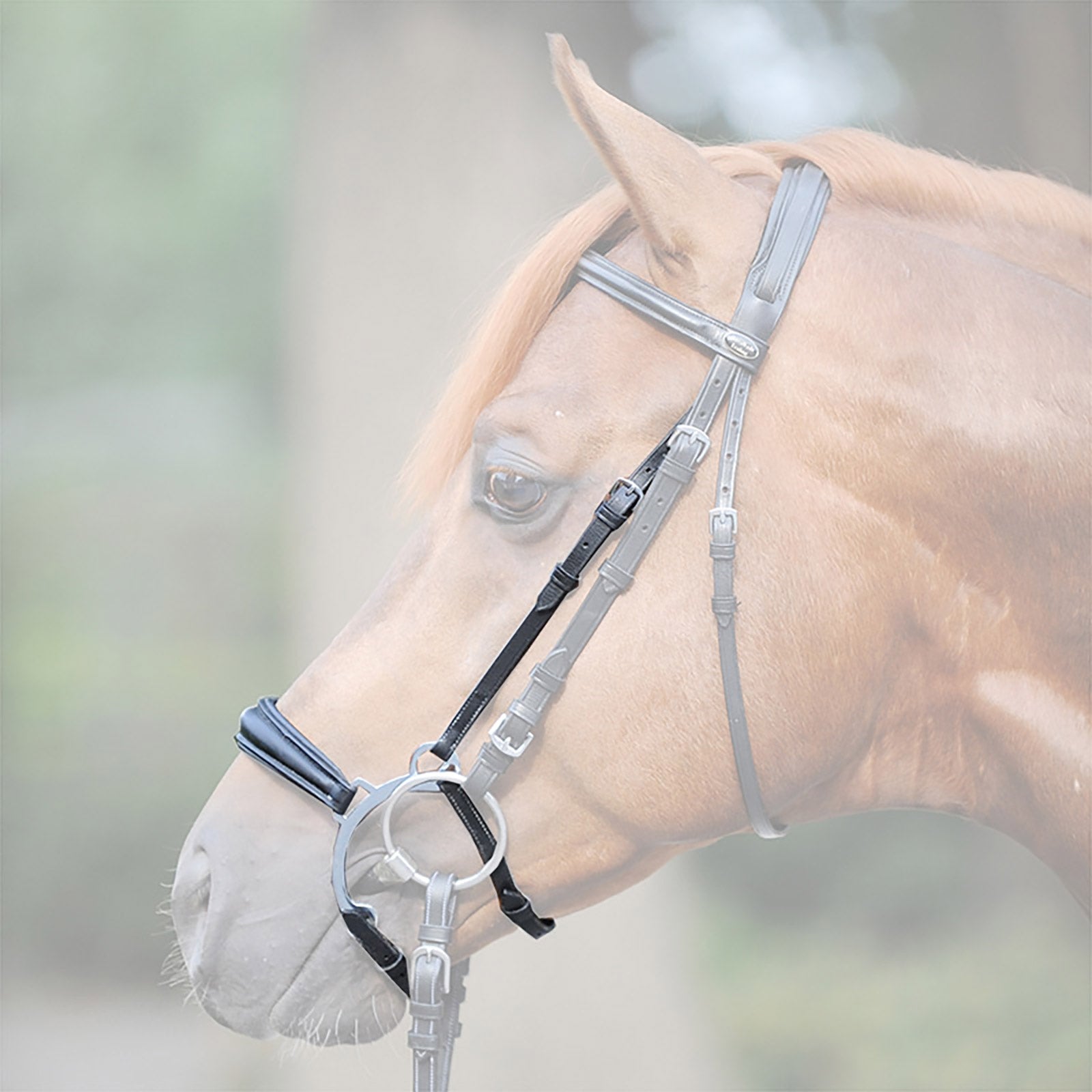 Kavalkade Iron noseband Bridles & Reins