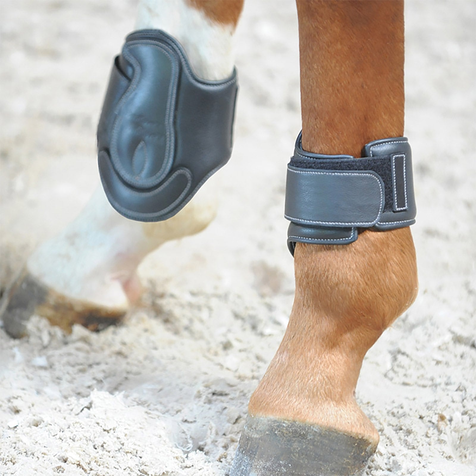 Kavalkade Soft Dekor nahkasuojat Leg Protection & Hoof Protection for Horses