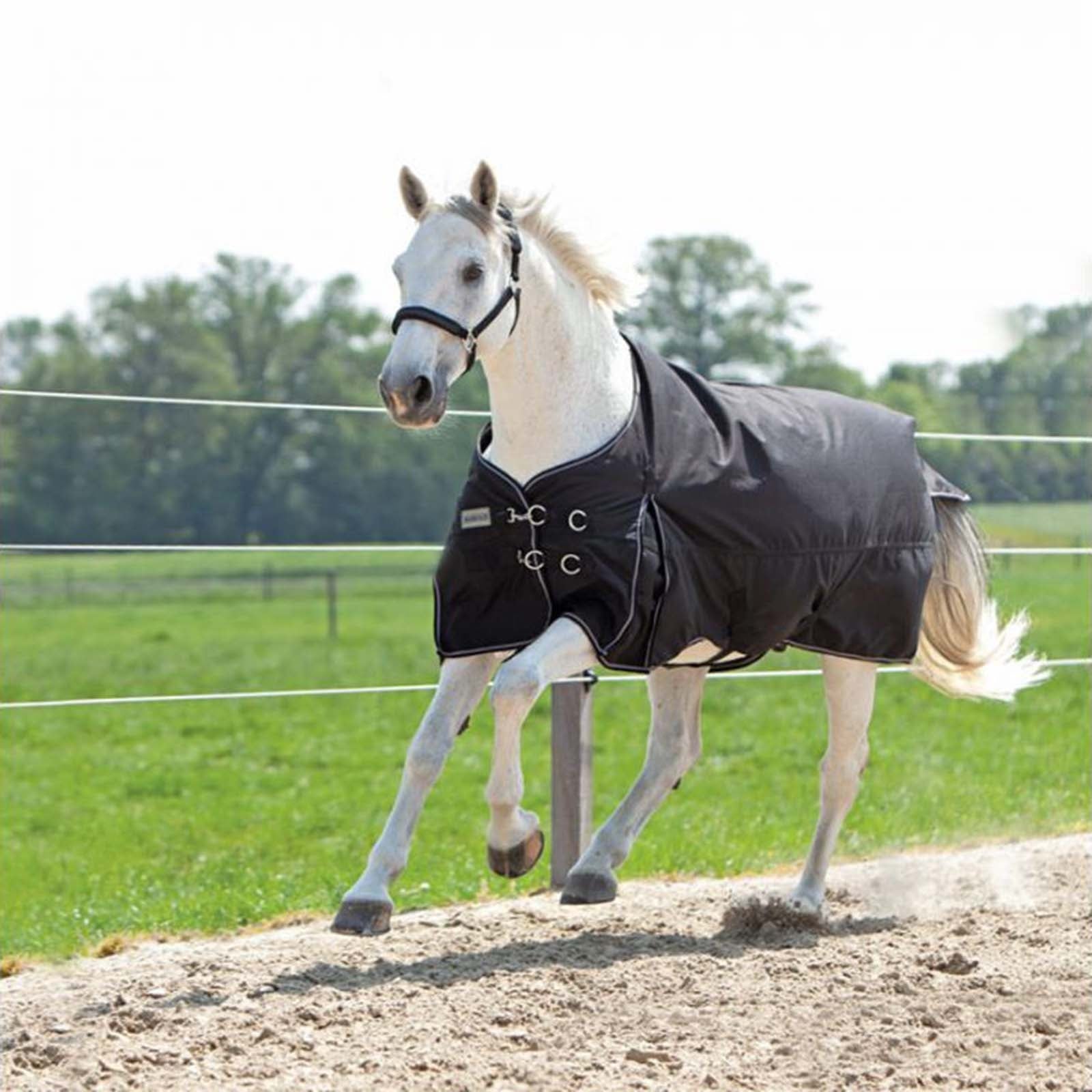 Kavalkade Alaska IV Fleece Turnout Rug Horse Rugs