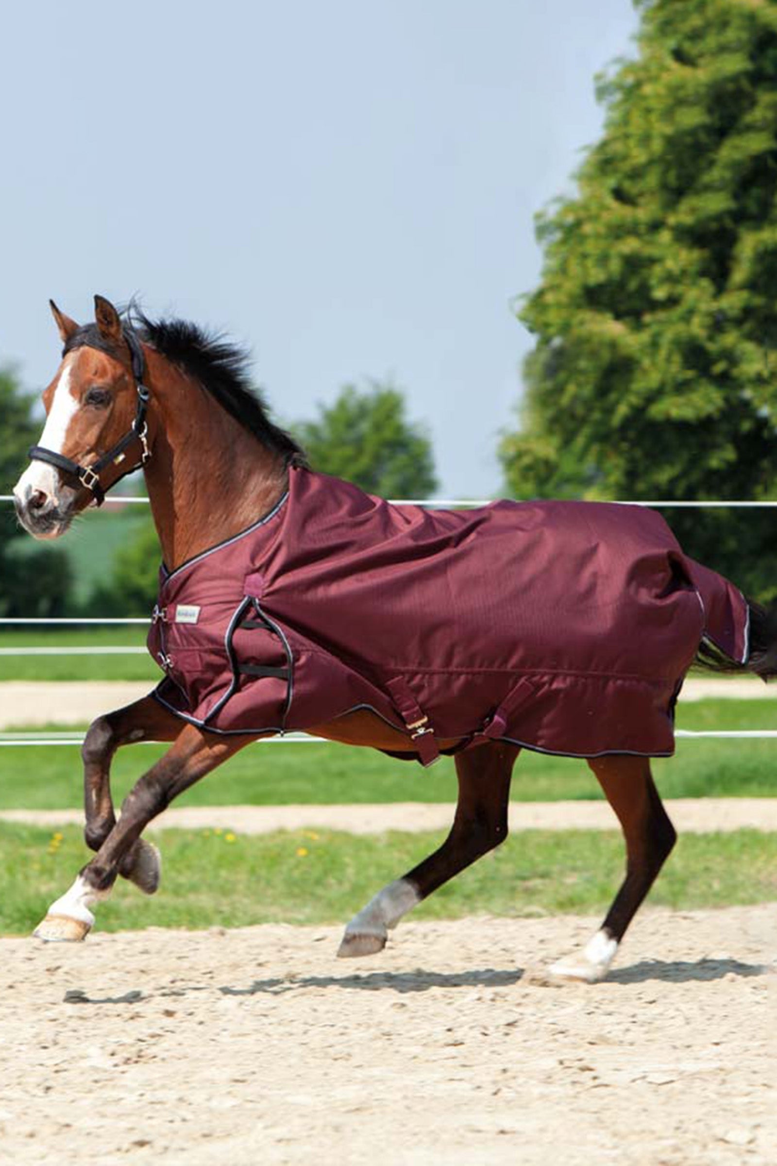 Kavalkade Alaska IV Fleece Turnout Rug Horse Rugs